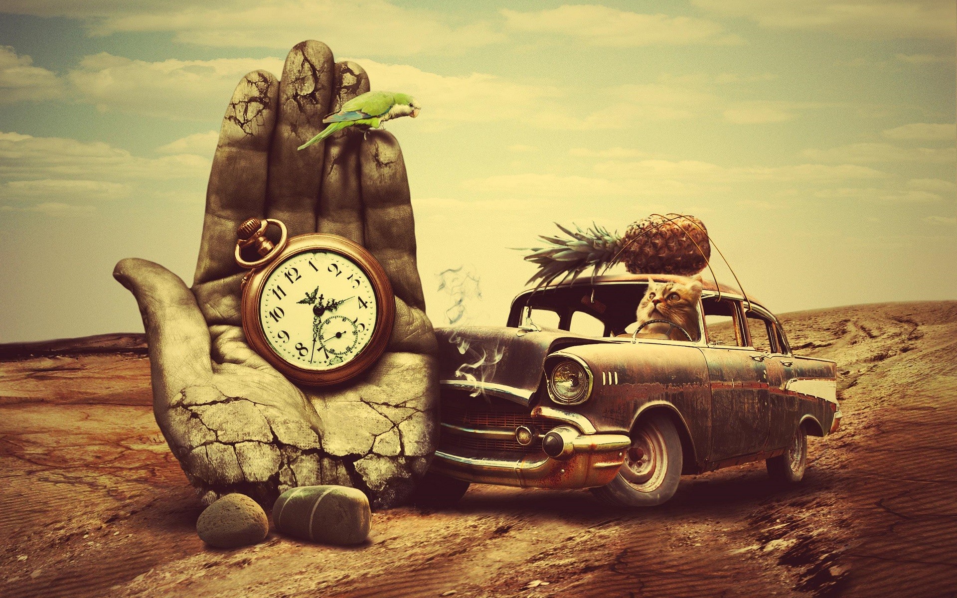 Car Old Car Hands Clocks Birds Parrot Cats Pineapples Smoke Desert Animals Surreal Stones Rock Fruit 1920x1200
