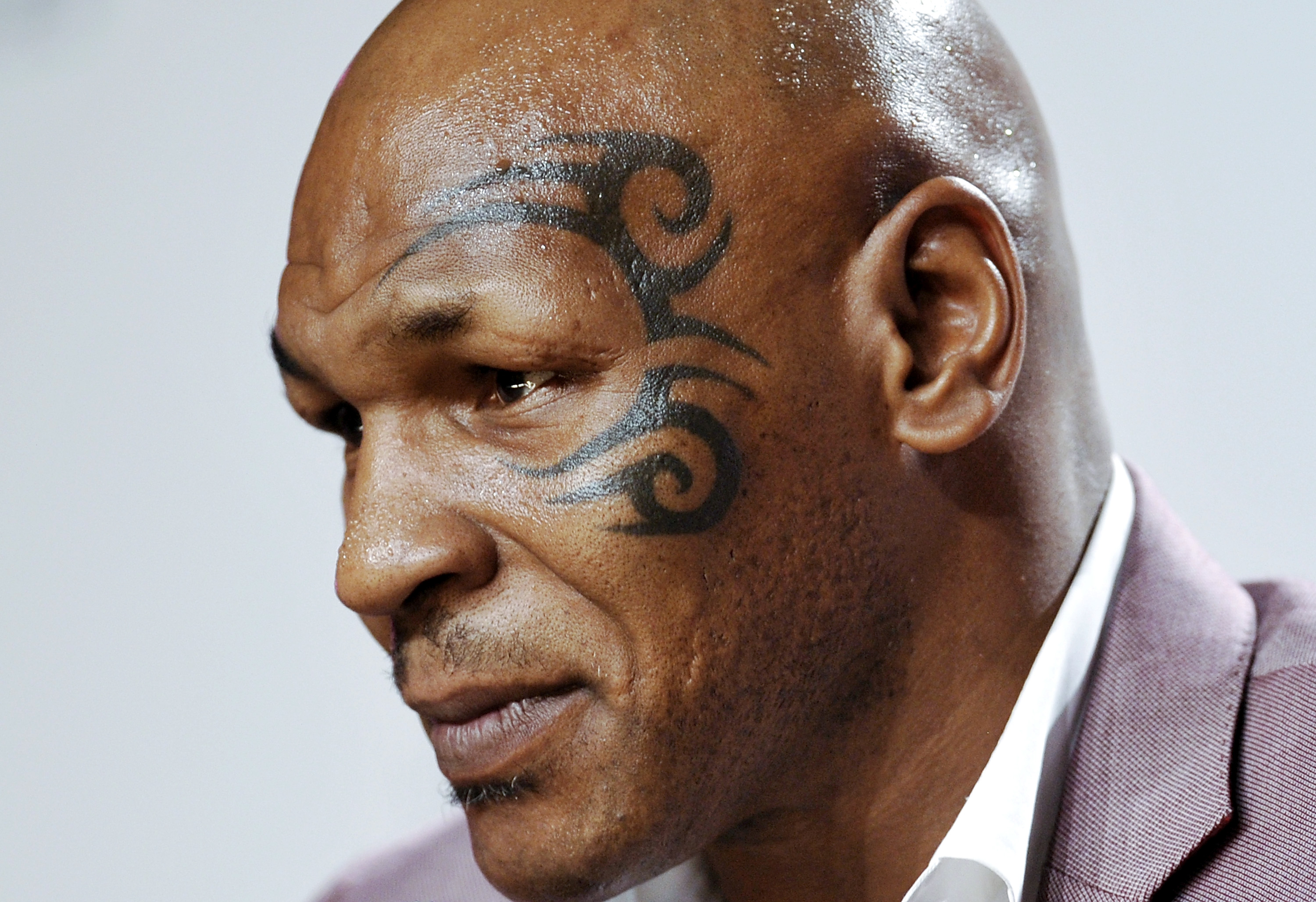 Mike Tyson Actor American Tattoo Boxer 3000x2056