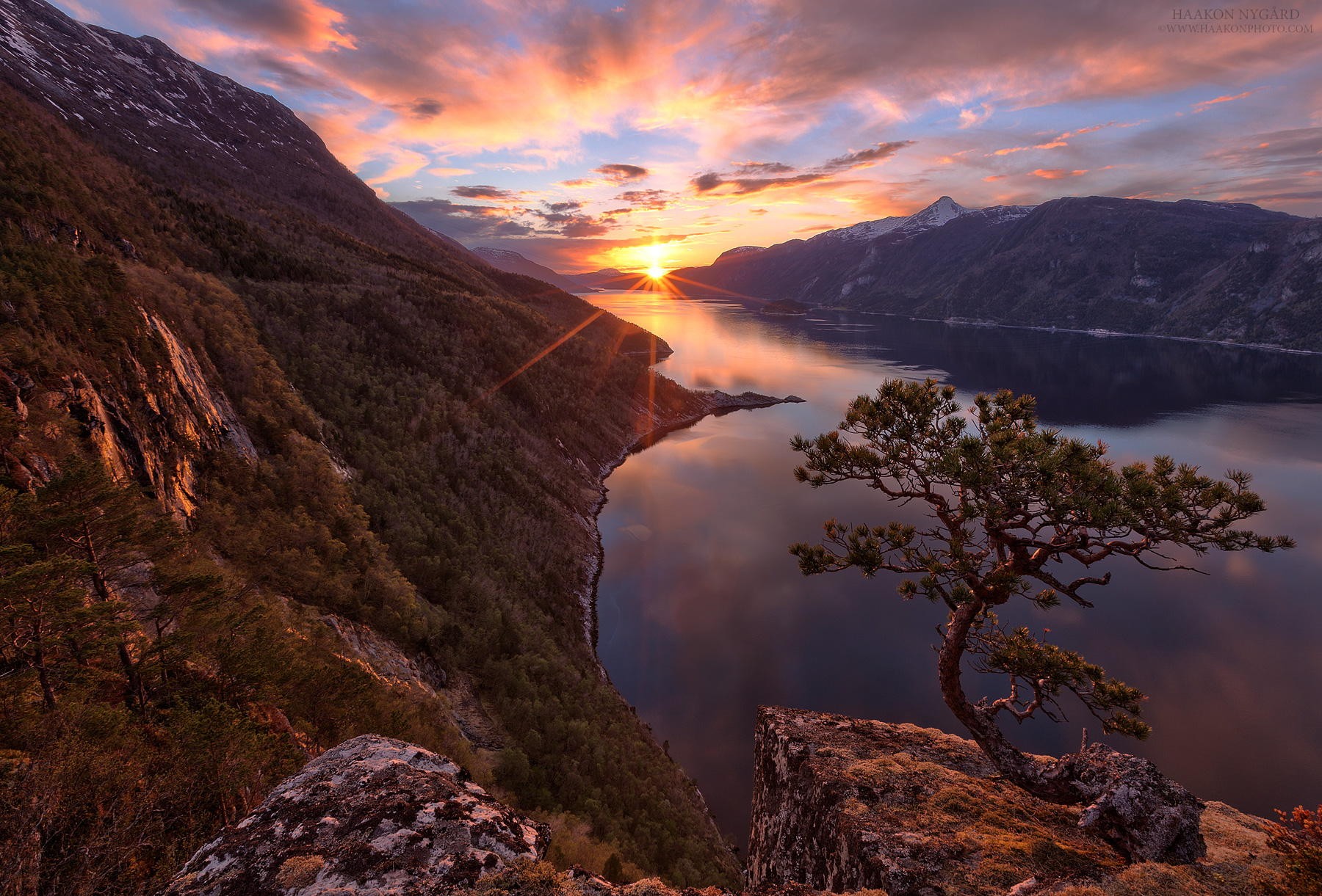 Earth Fjord Mountain Sunset Tree 1800x1221