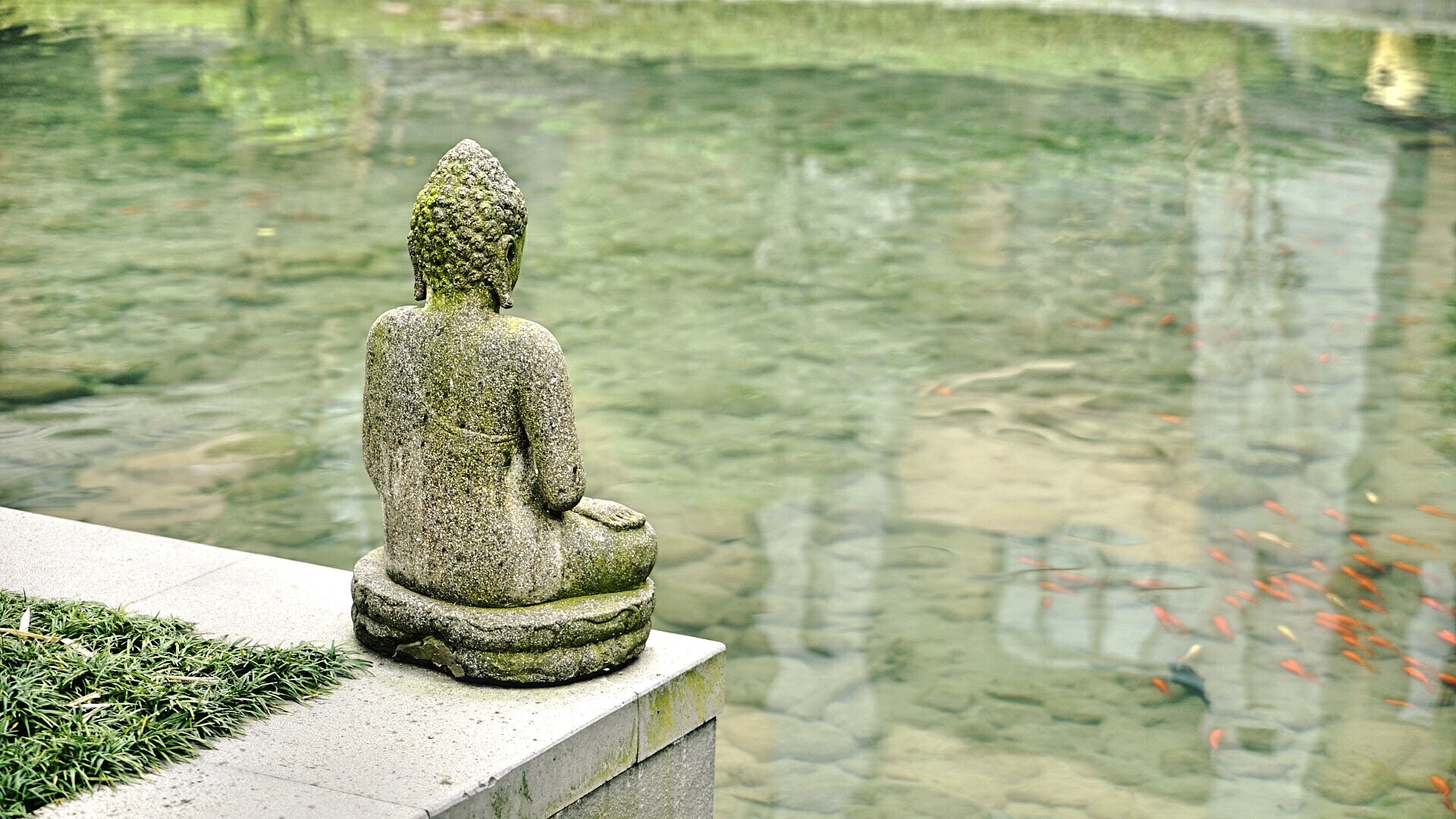 Statue Buddha Religion Pond Fish Sculpture Water 1920x1080