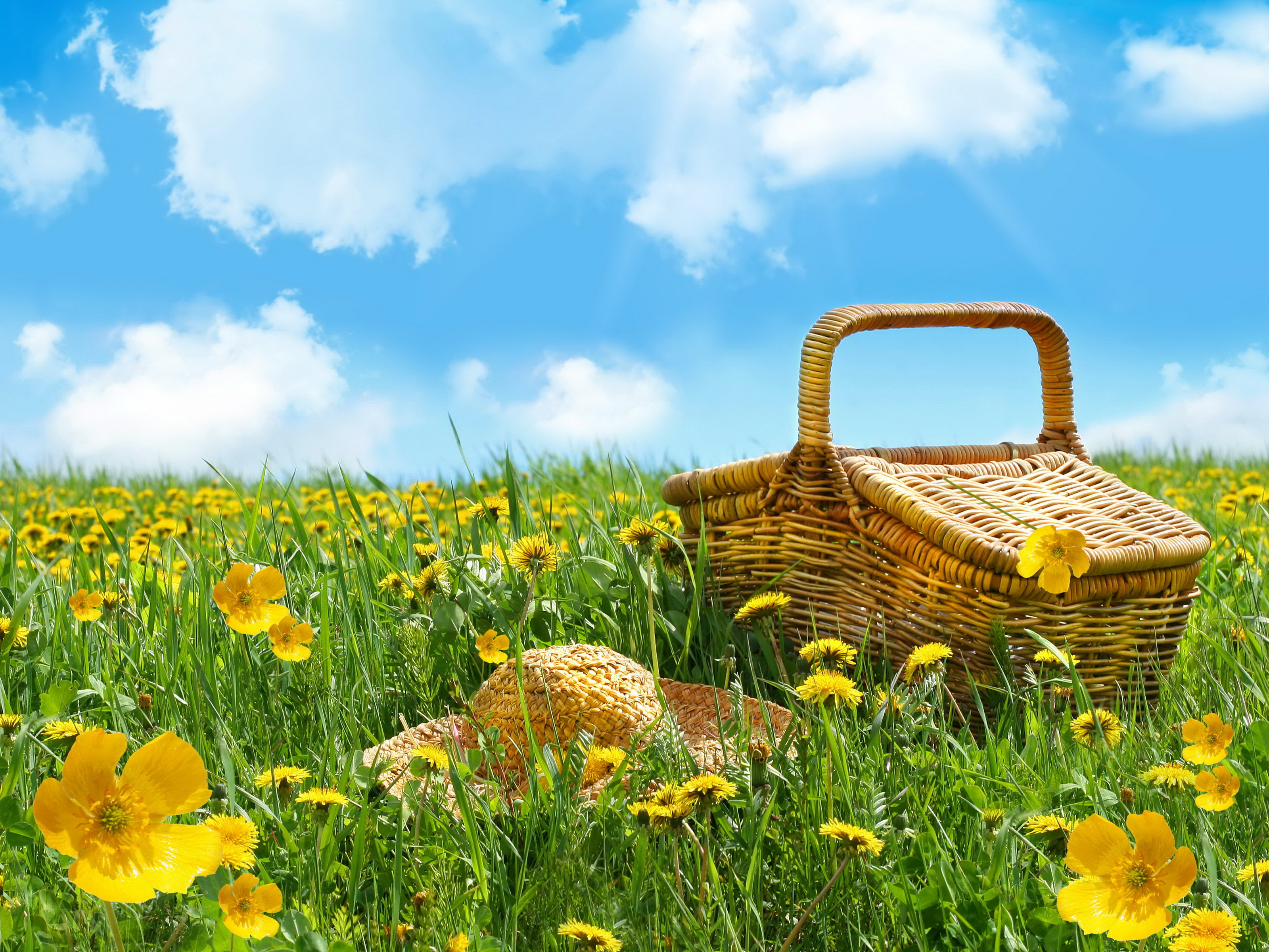 Spring Picnic Basket Field Yellow Flower Straw Hat 3200x2400