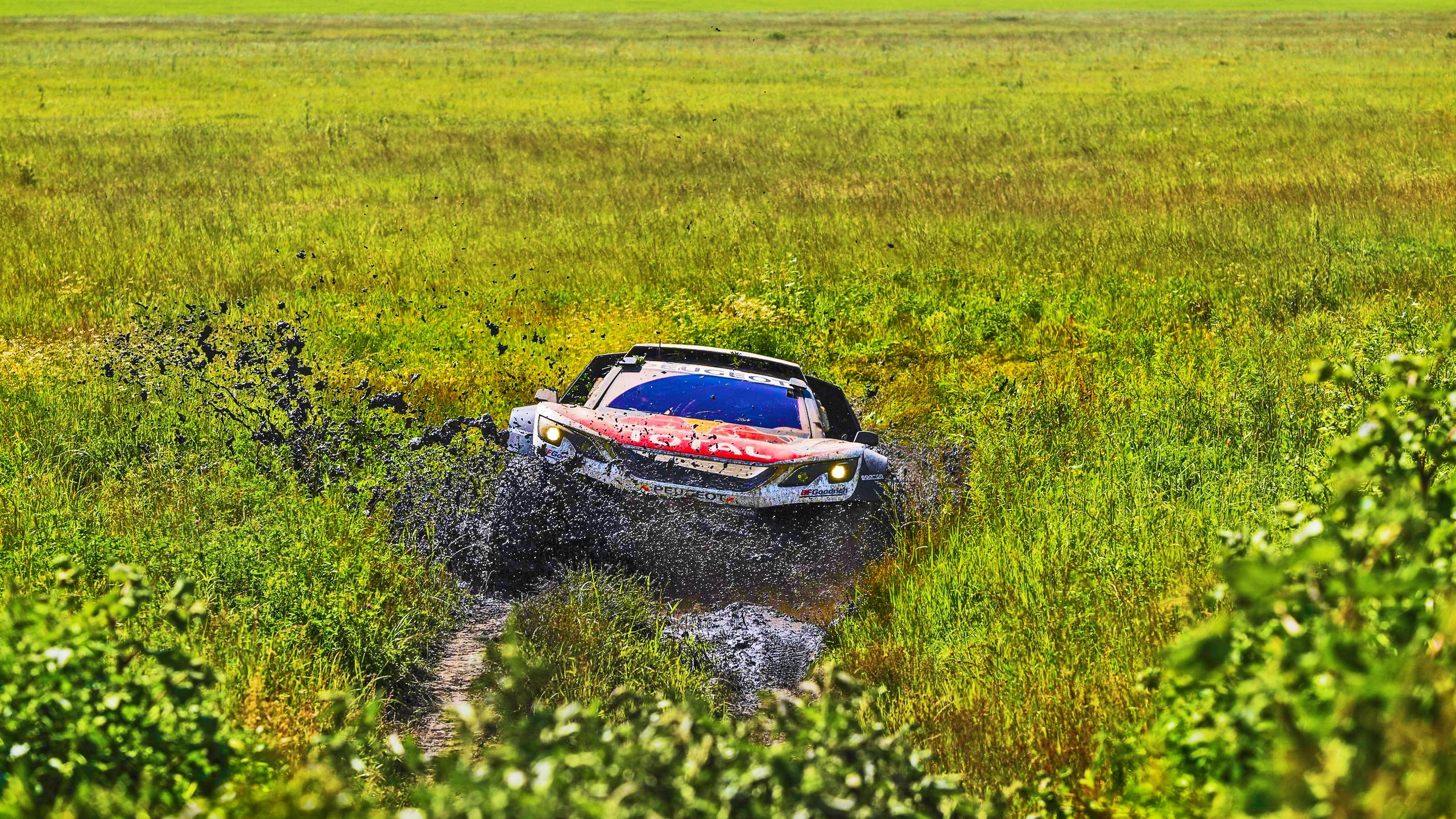 Rally Mud Peugeot Vehicle Car Offroad Swamp 2560x1440