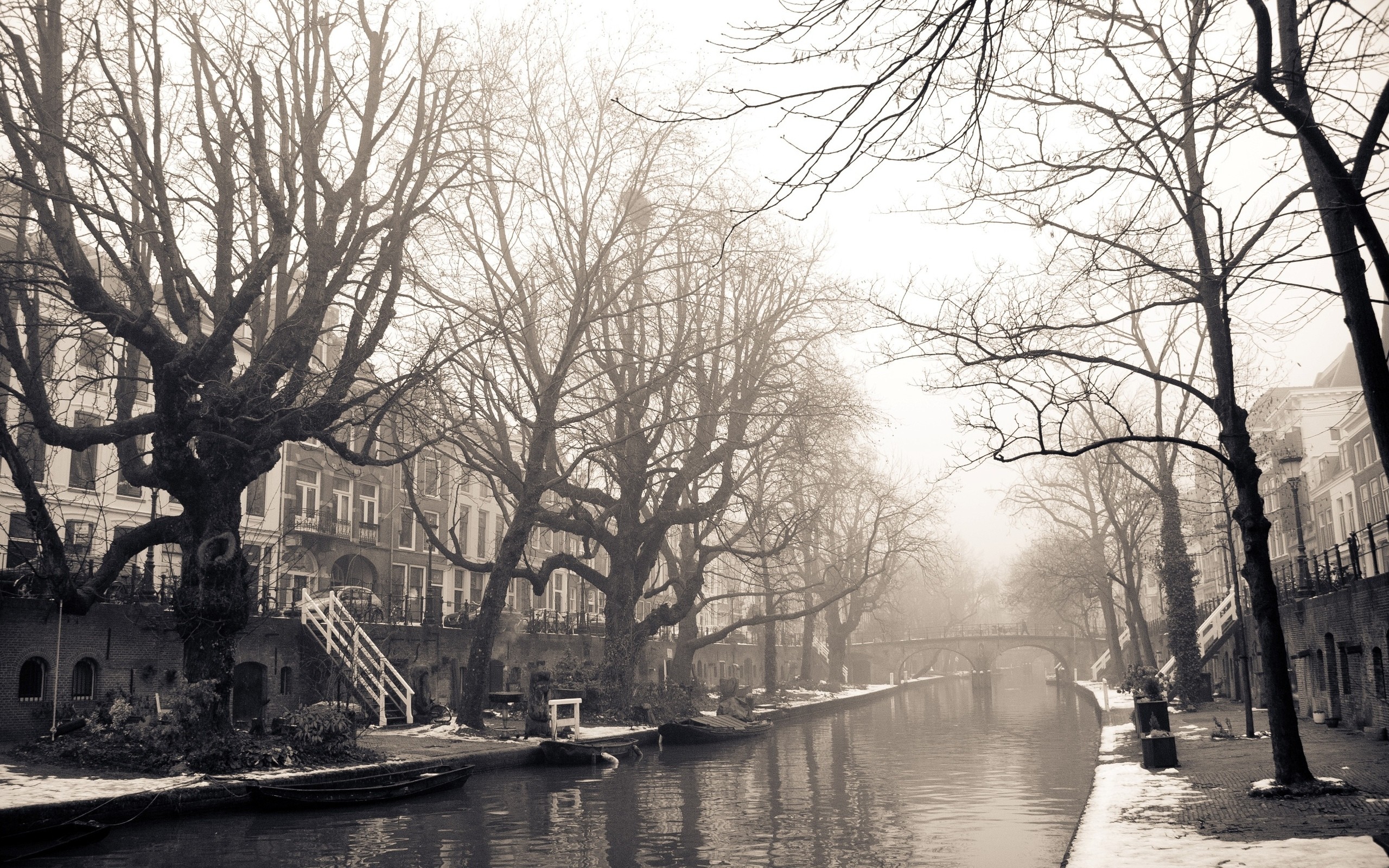 House Monochrome River Snow Tree 2560x1600