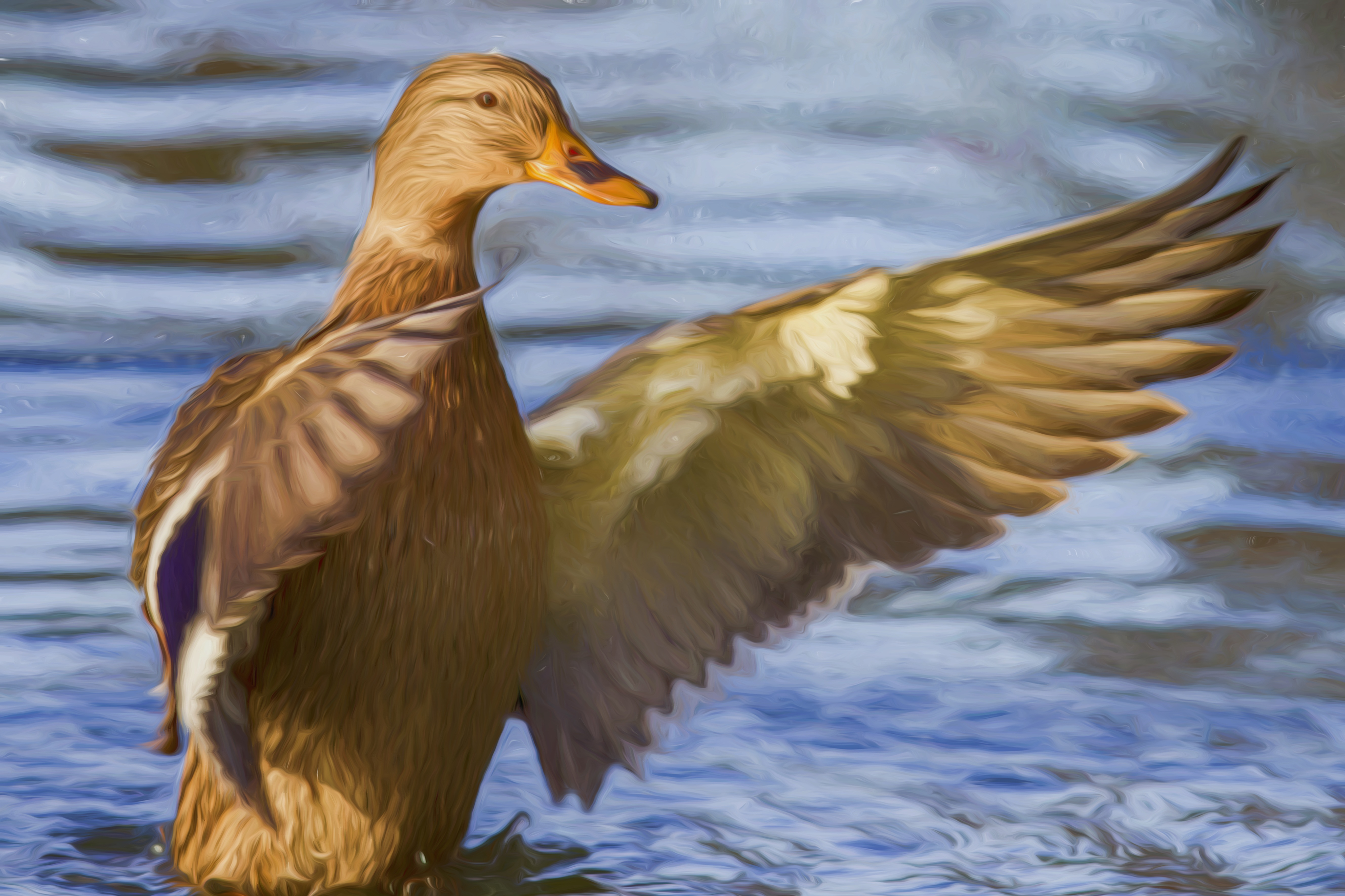 Mallard Duck Bird Artistic Painting Oil Painting 5315x3543