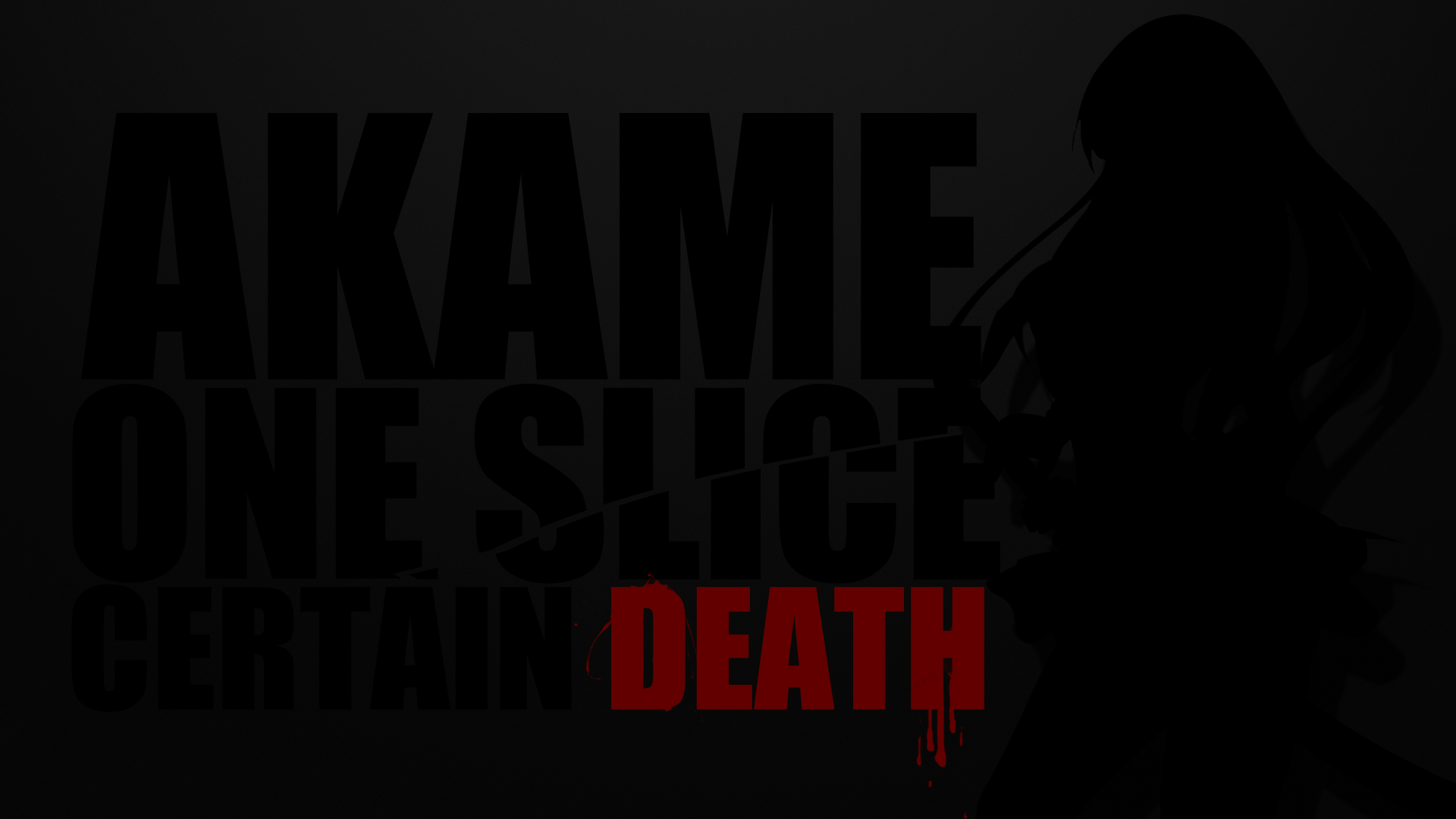 Akame Ga Kill Akame Anime 1920x1080