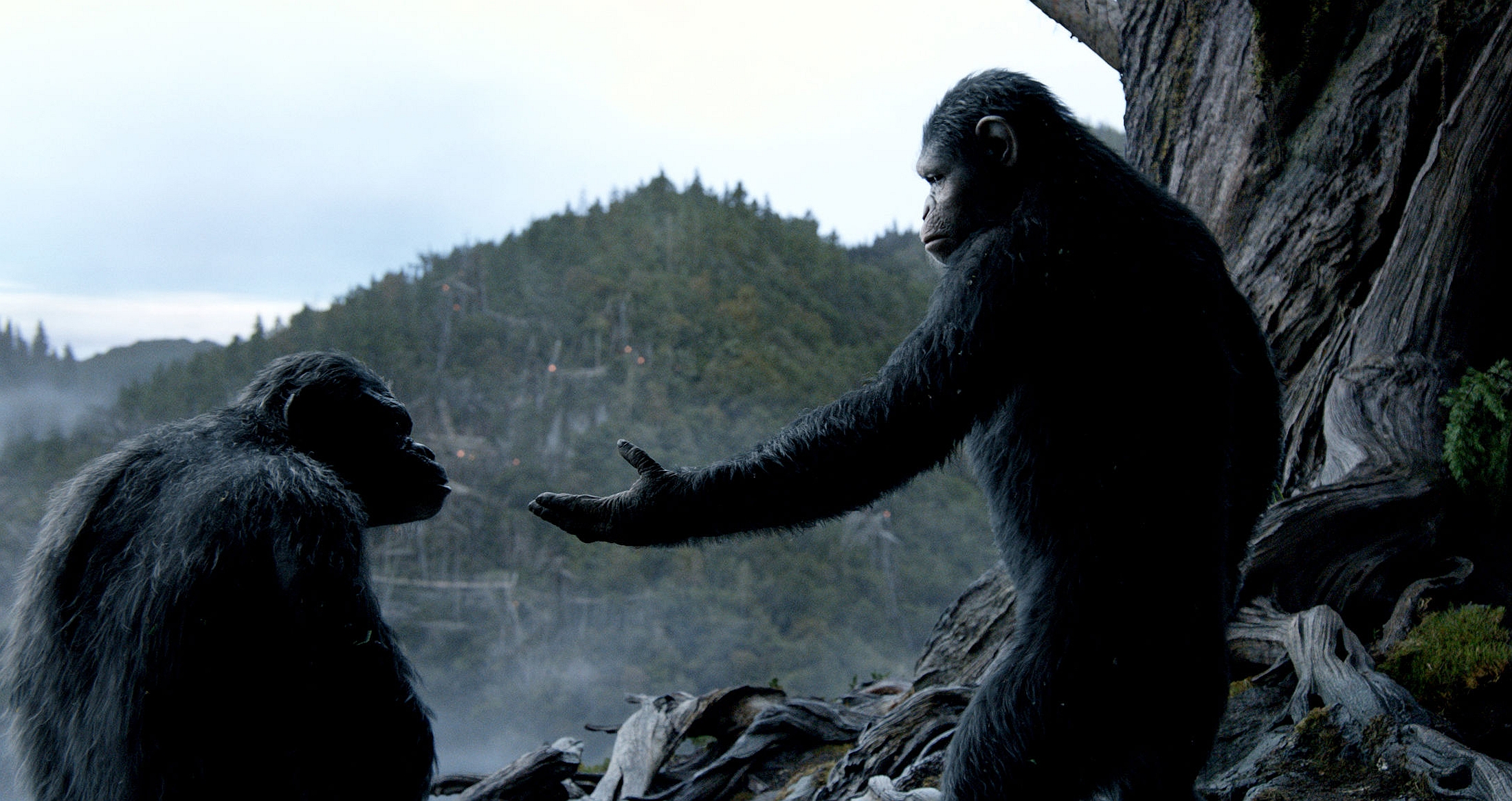 Movie Dawn Of The Planet Of The Apes 2200x1165