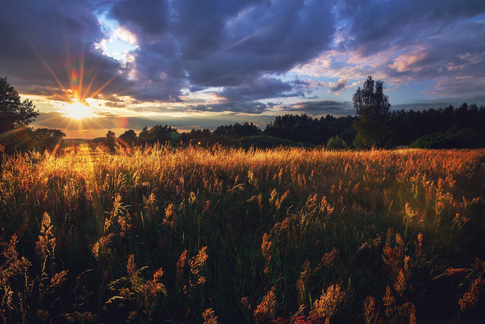 Russia Landscape Field Lens Flare Sunlight Overcast Dry Grass Trees 2048x1367