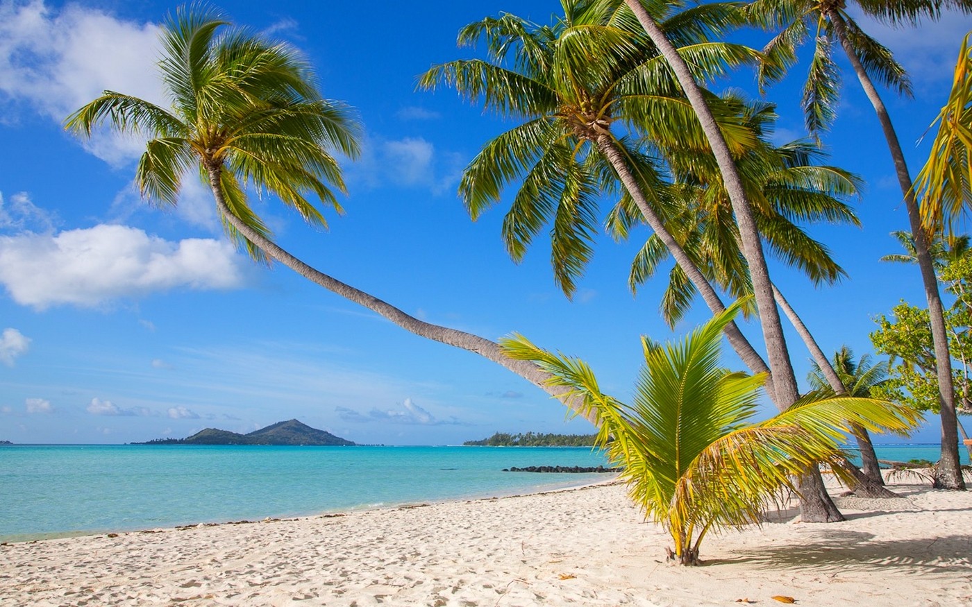 Nature Landscape Tropical Bora Bora Beach Island White Sand Sea Palm Trees Summer French Polynesia 1400x875