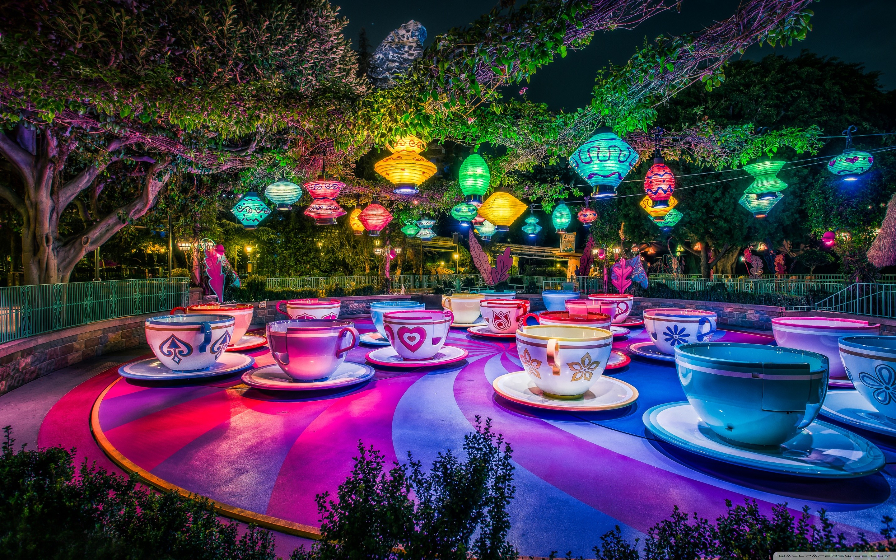 Disneyland Theme Parks Trees Lantern Cup California Colorful 2880x1800