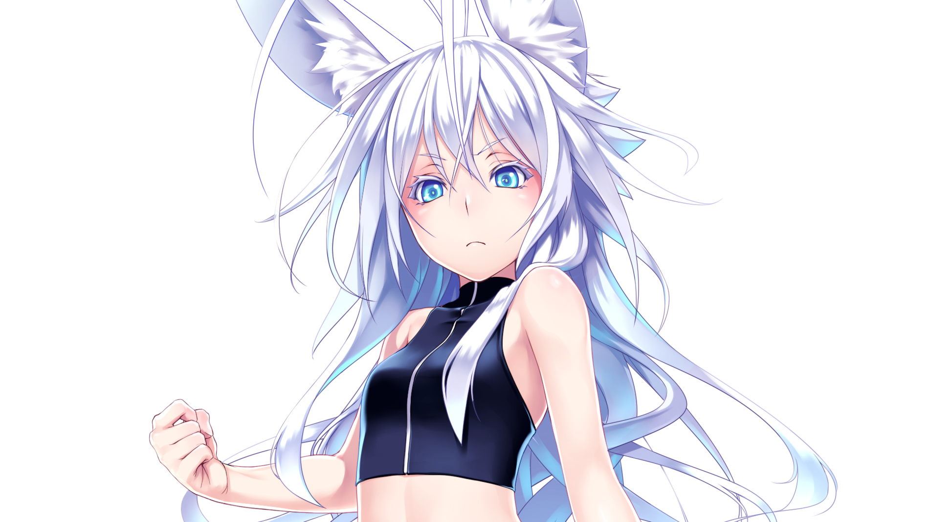 Girl Long Hair White Hair Animal Ears Kitsune Blue Eyes 1900x1069