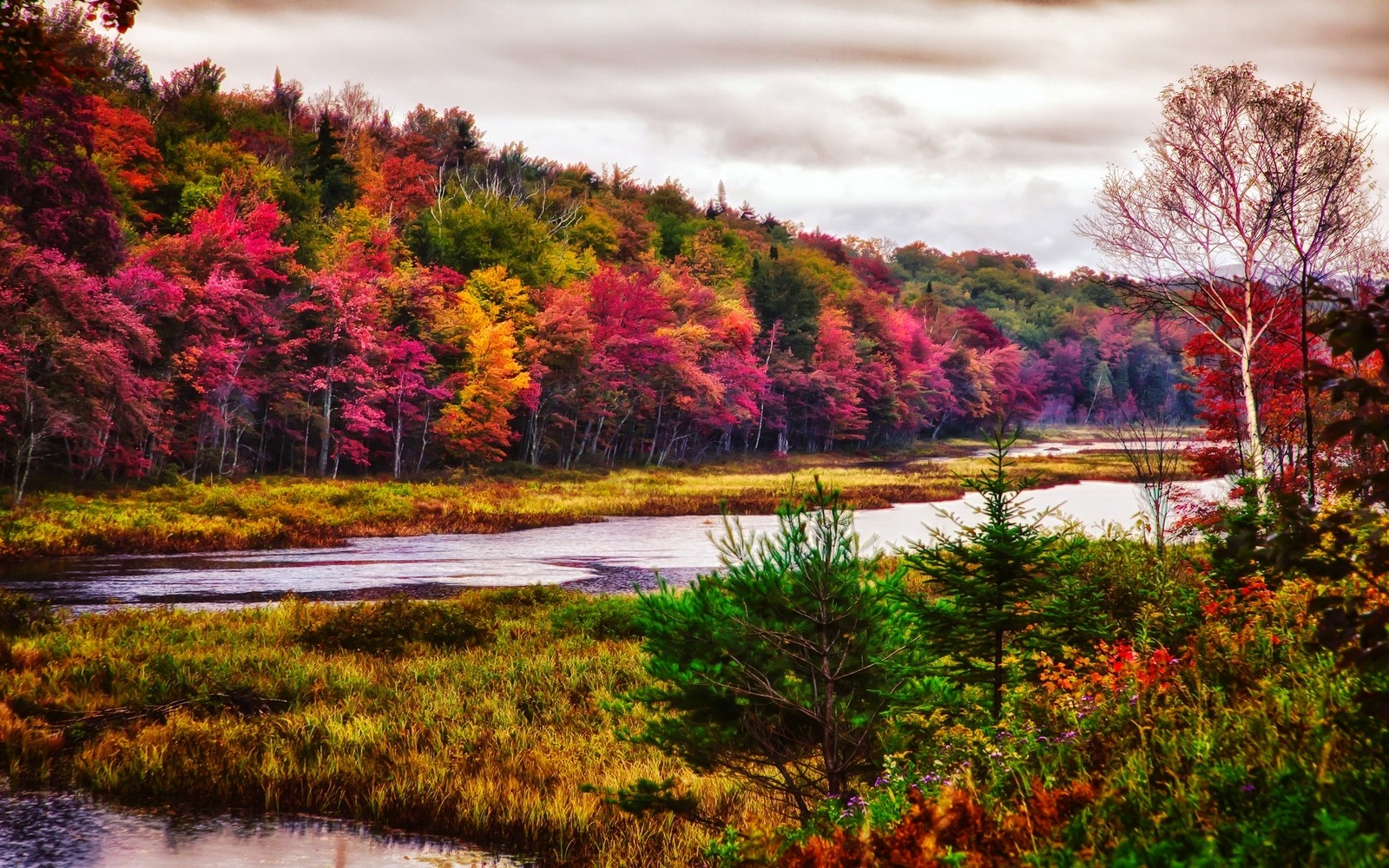 Nature Landscape Trees River Fall Forest Colorful New York State Grass Mountains Clouds 1600x1000