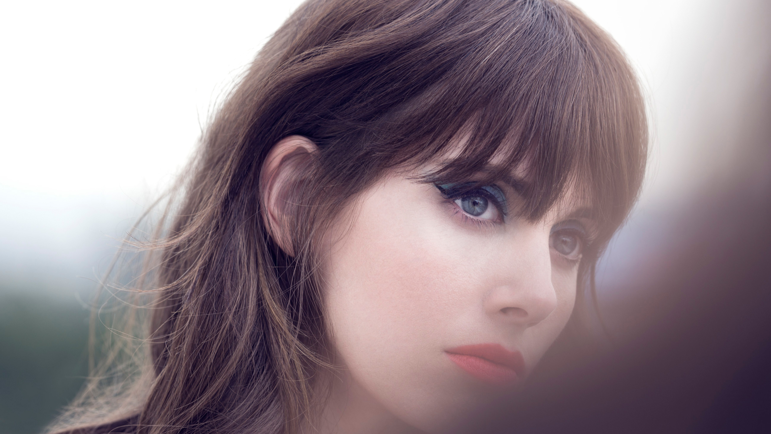 Actress Women Alison Brie Brunette Eyeshadow Blue Eyes 2500x1406