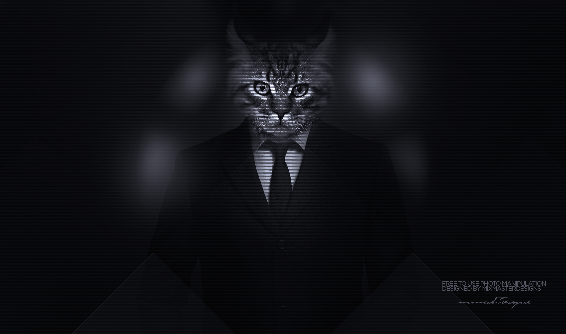 Kitty Cats Big Cats Majestic Casual Channel Photo Manipulation Men Classy Suits 1920x1133