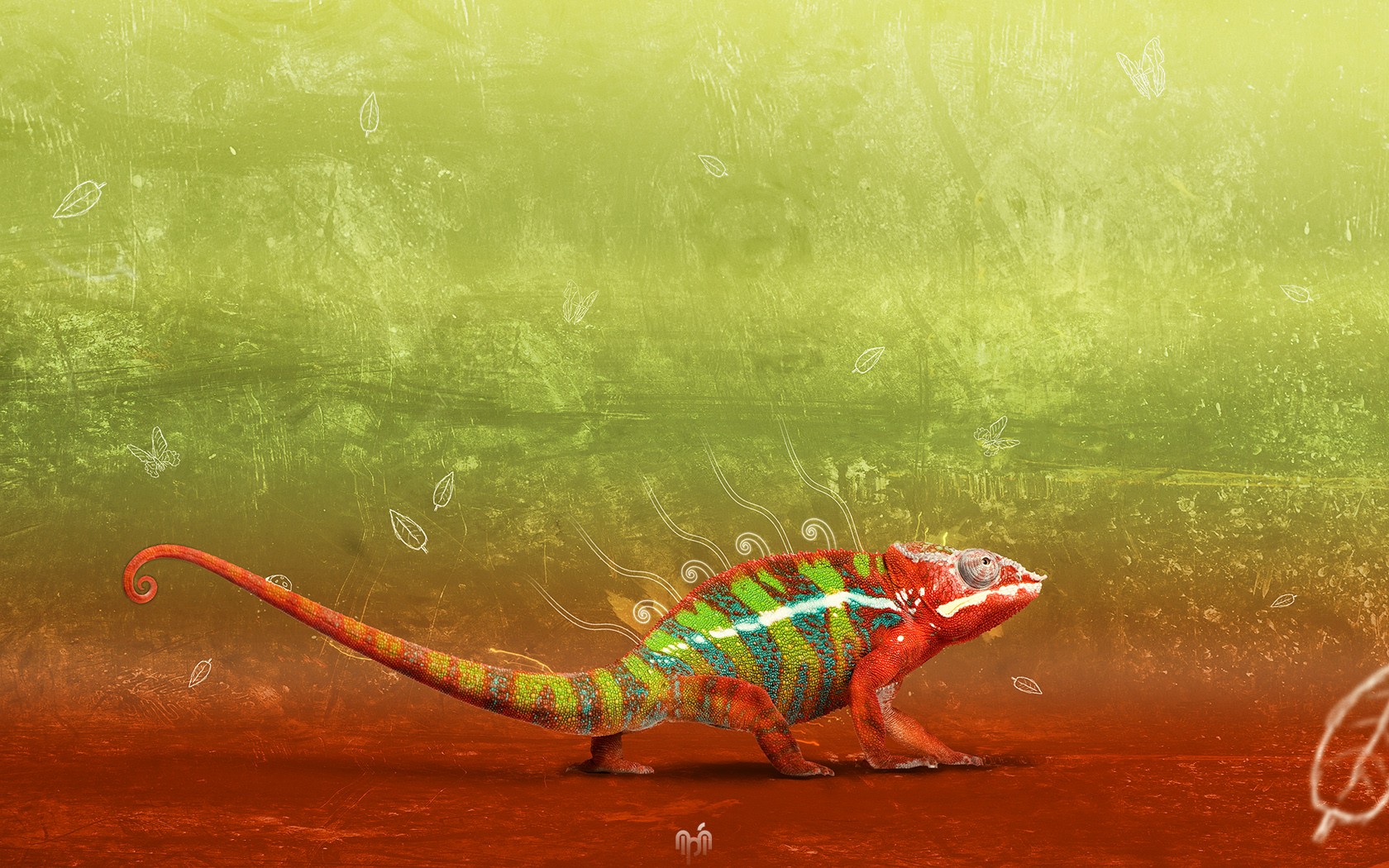 Chameleons Animals Artwork Digital Art 1680x1050