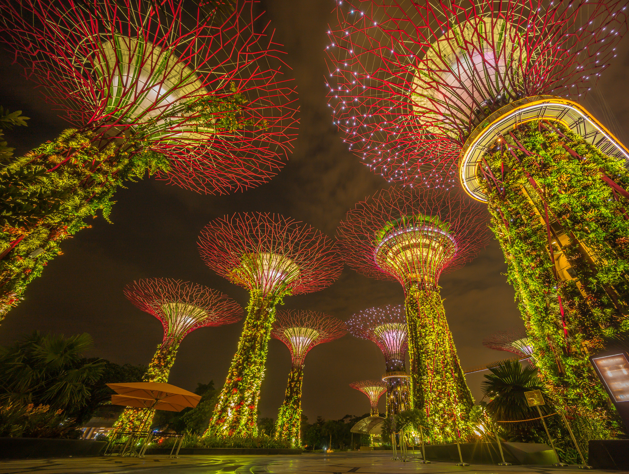 Garden Singapore Plant Marina Bay Sands 2048x1544