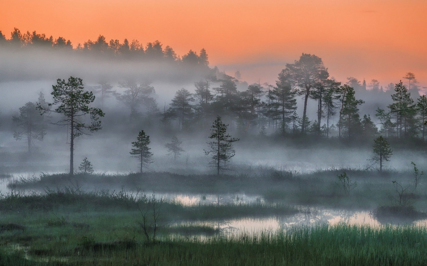 Nature Landscape Russia Forest Mist Trees Sunset Night Arctic Wetland 1400x875
