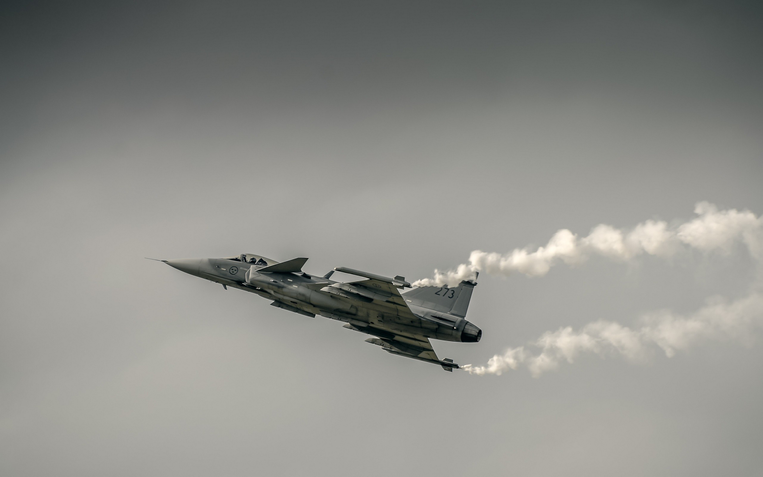 Photography Airplane Aircraft Military Aircraft JAS 39 Gripen Swedish Air Force 2560x1600