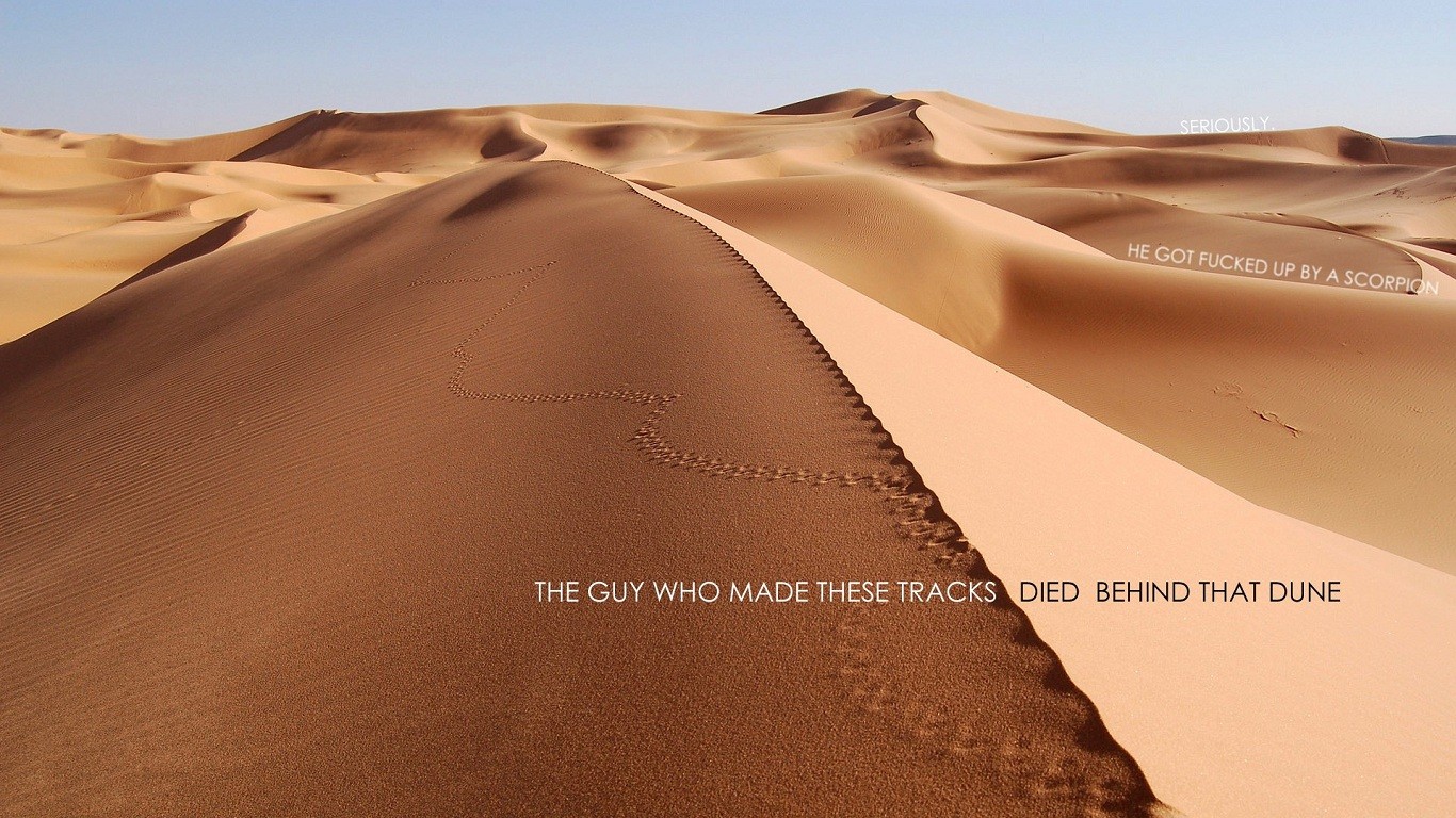 Desert Dunes Footprints 1366x768