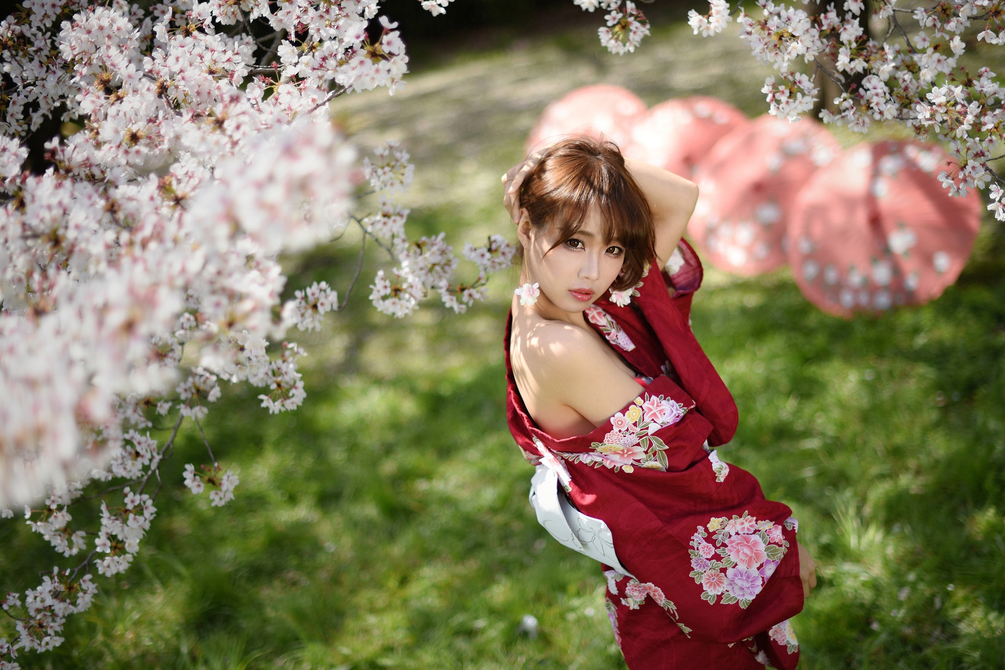 Asian Women Yukata Japanese Umbrella Cherry Blossom 2048x1366