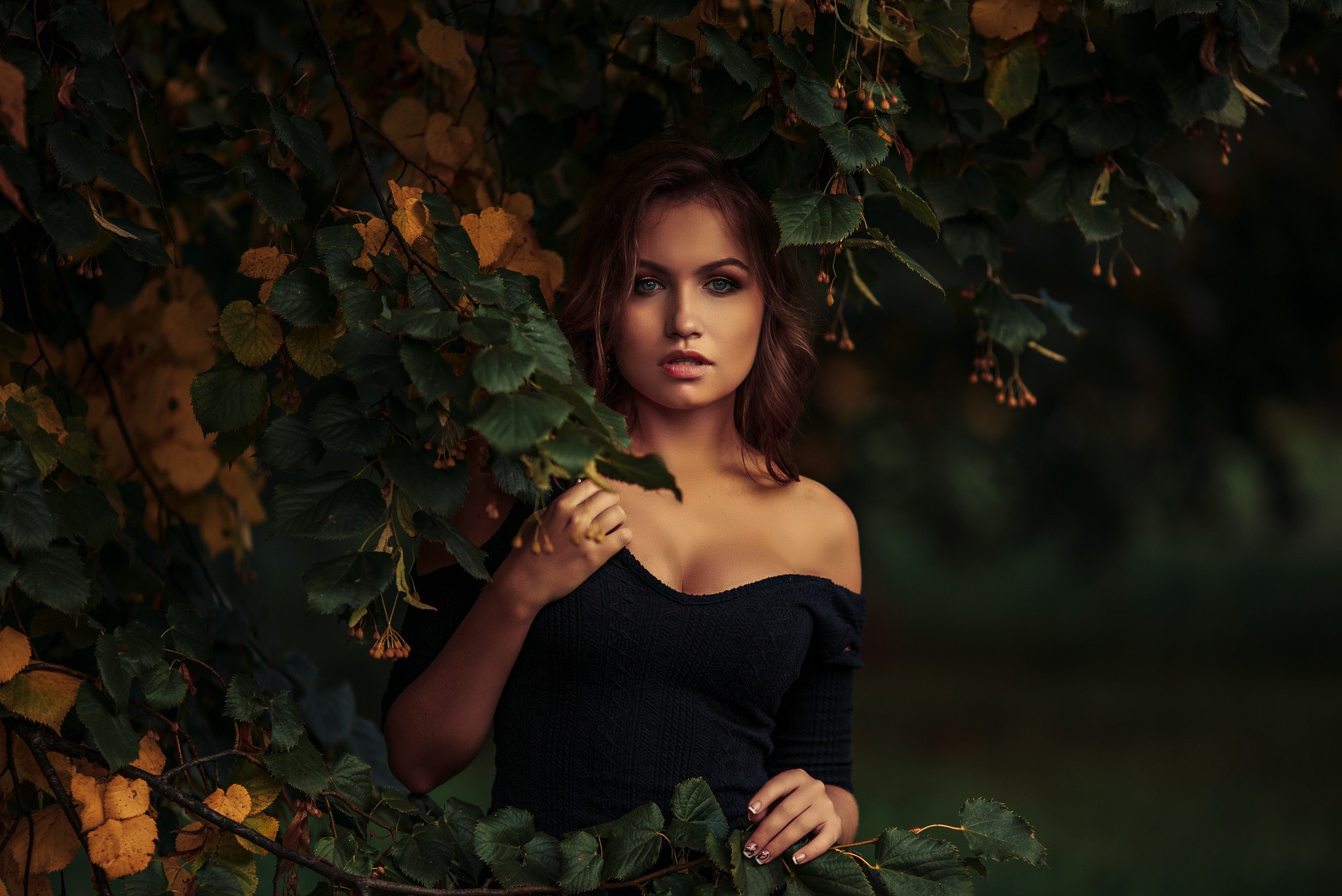 Women Portrait Women Outdoors Black Dress Leaves Dmitrij Butvilovskij Nicole Dmitry Butvilovsky Nico 2048x1368