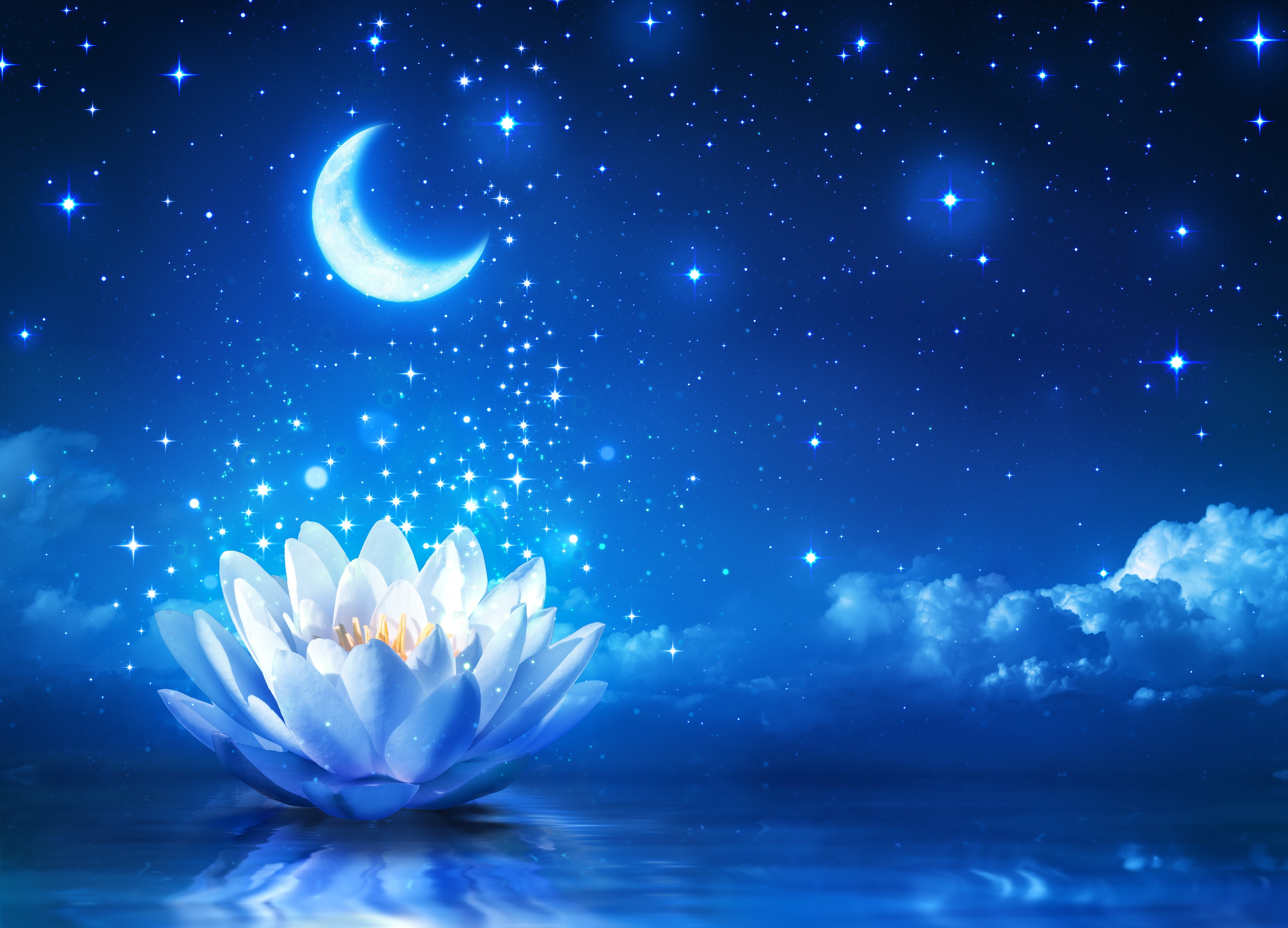 Moon Sky Night Lotus Flowers Stars 5371x3869