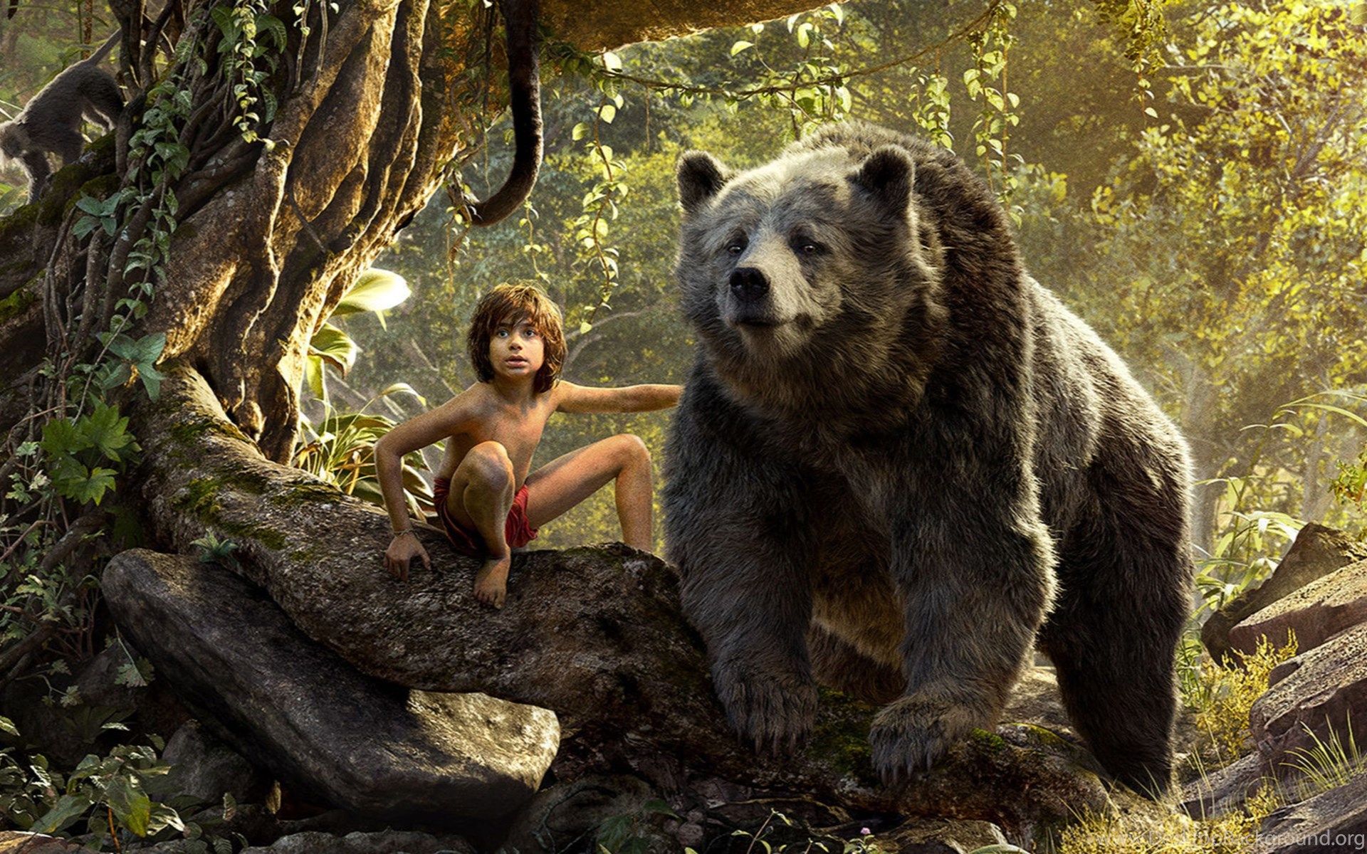 Movie The Jungle Book Bear Mowgli 1920x1200