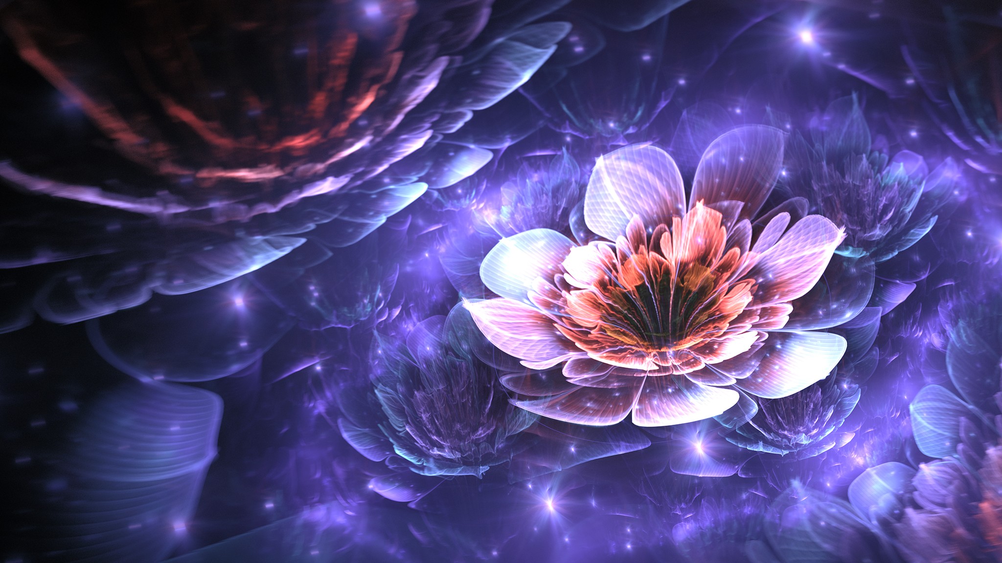 Fractal Apophysis Flowers Digital Art 3D Fractal Flowers Abstract 2048x1152