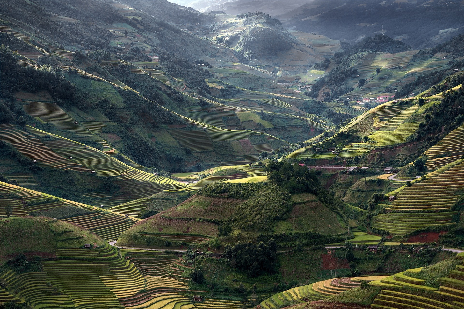 Nature Landscape Mountains Field Terraces Sunlight Road Trees Village Green Vietnam Rice Paddy 1920x1280