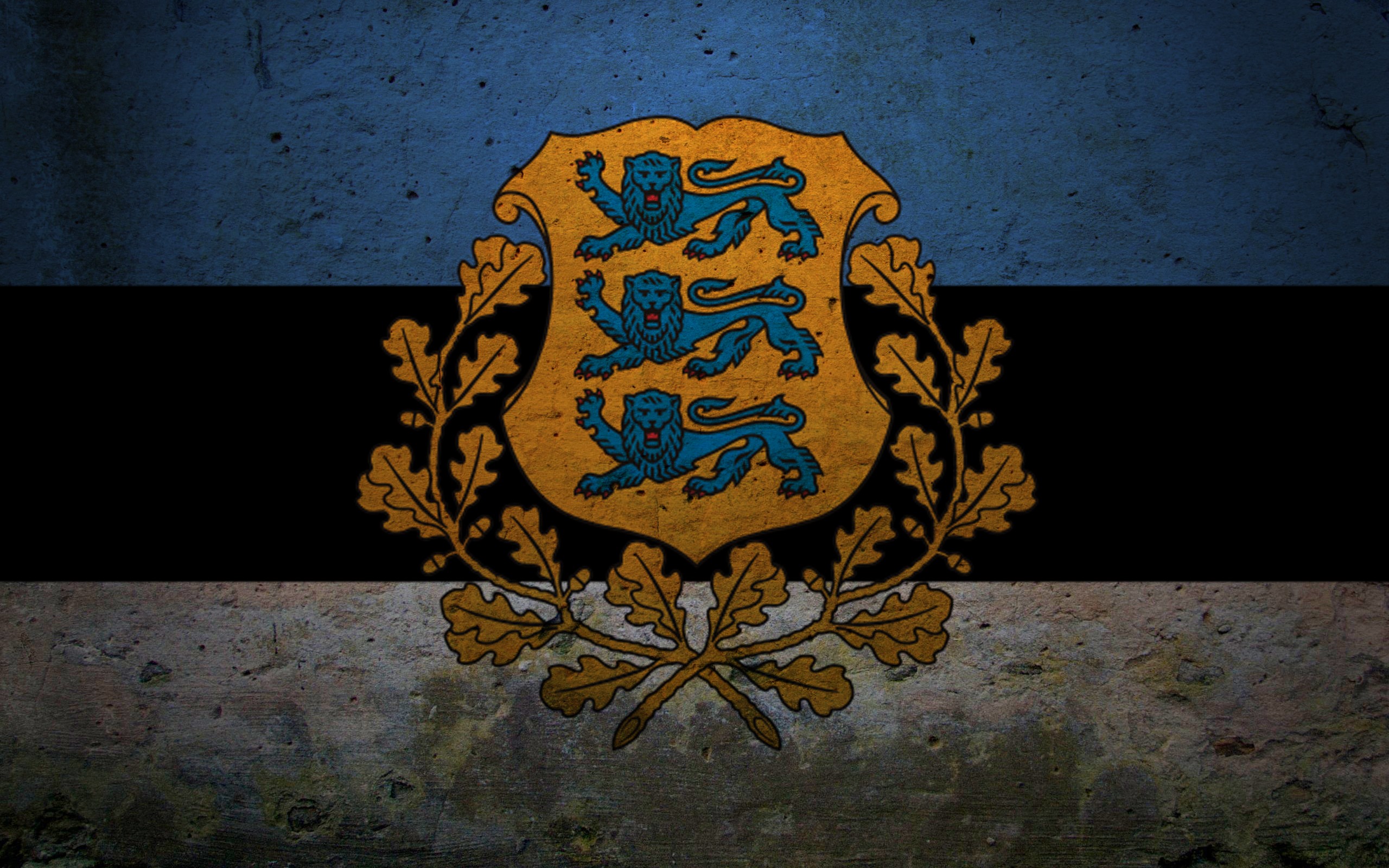 Estonia Blue Black Grunge 2560x1600