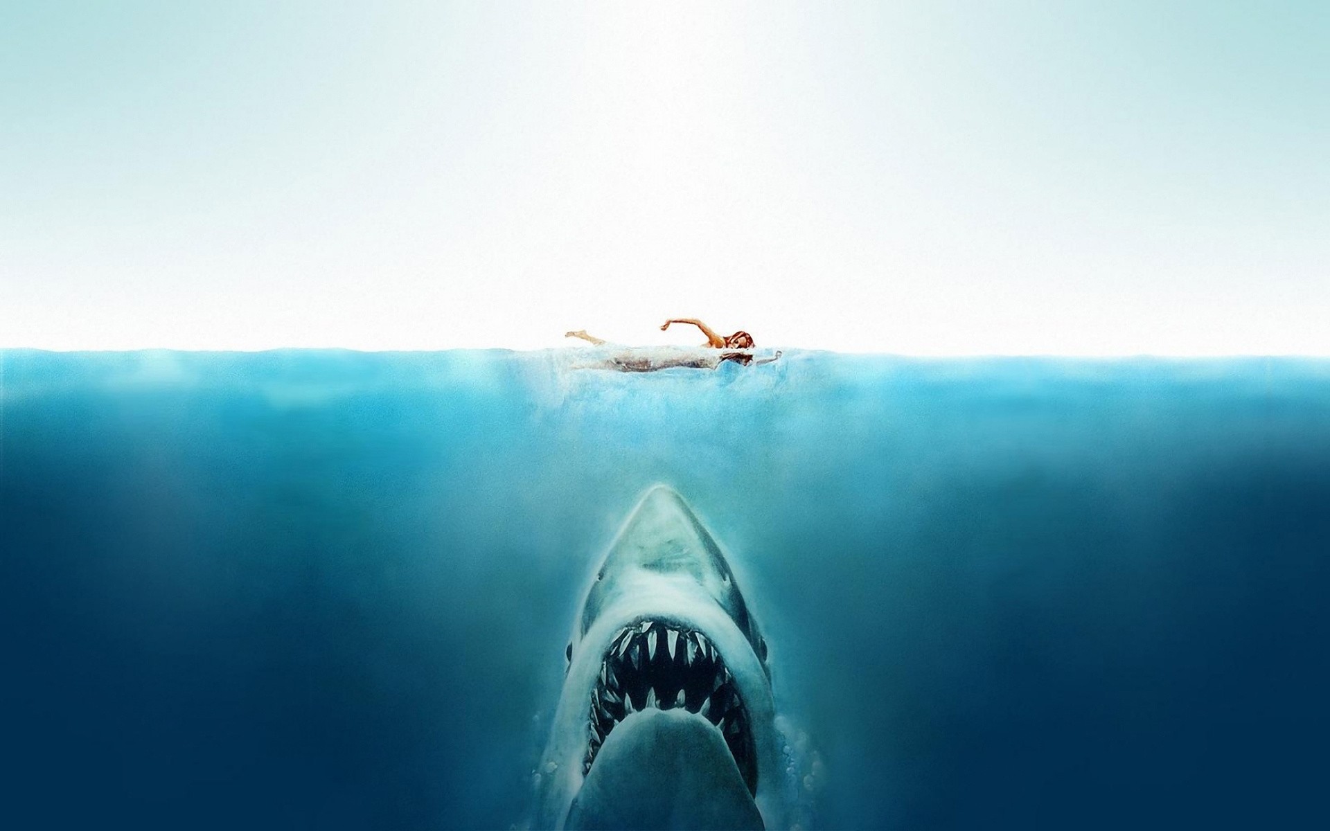 Jaws Movies Shark Split View Turquoise Sea Movie Poster 1920x1200