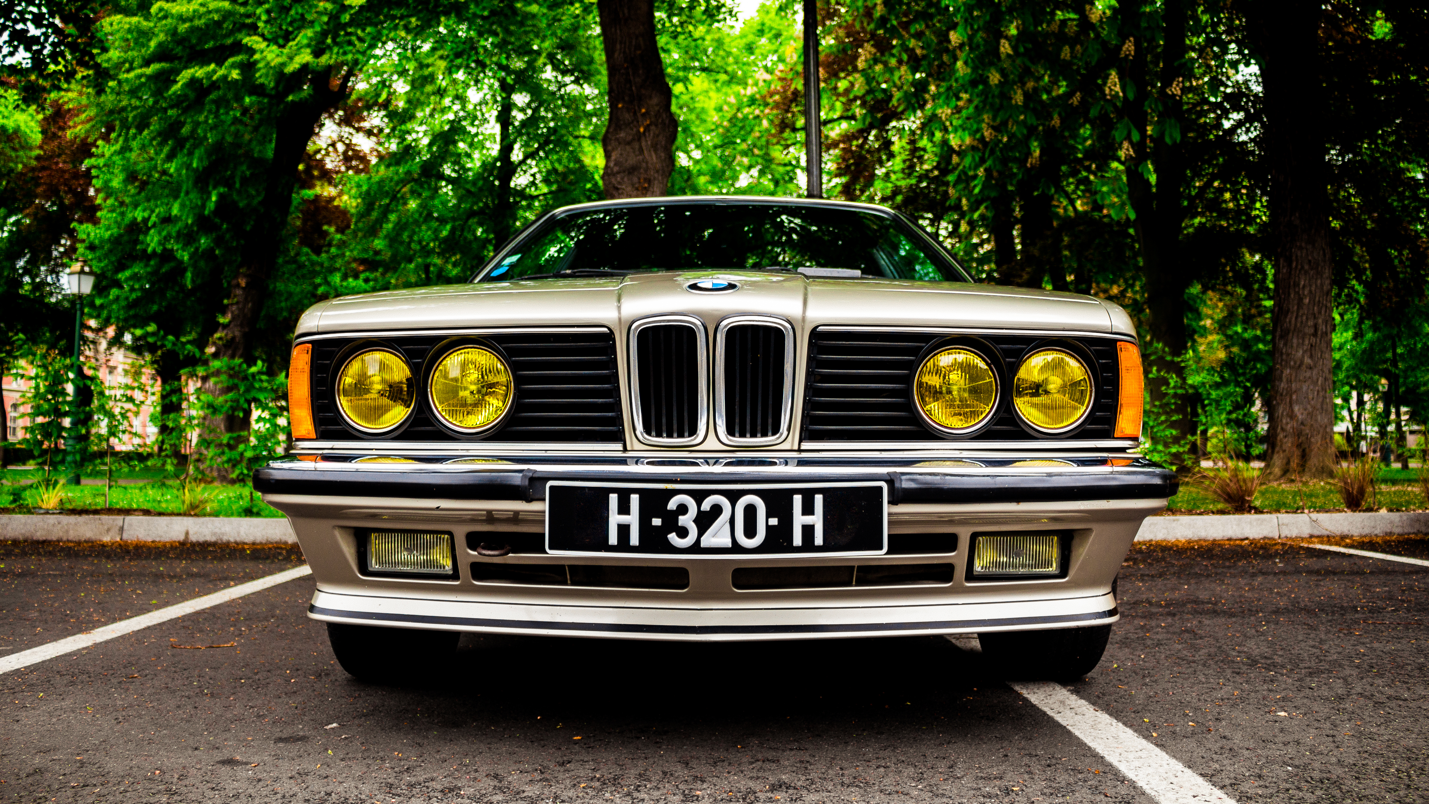 Car BMW Numbers Vehicle BMW E24 BMW 6 Series Frontal View 4992x2808