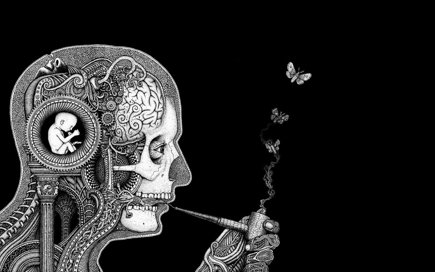 Butterfly Fantasy Art Skull Imagination Artwork Dark 1440x900