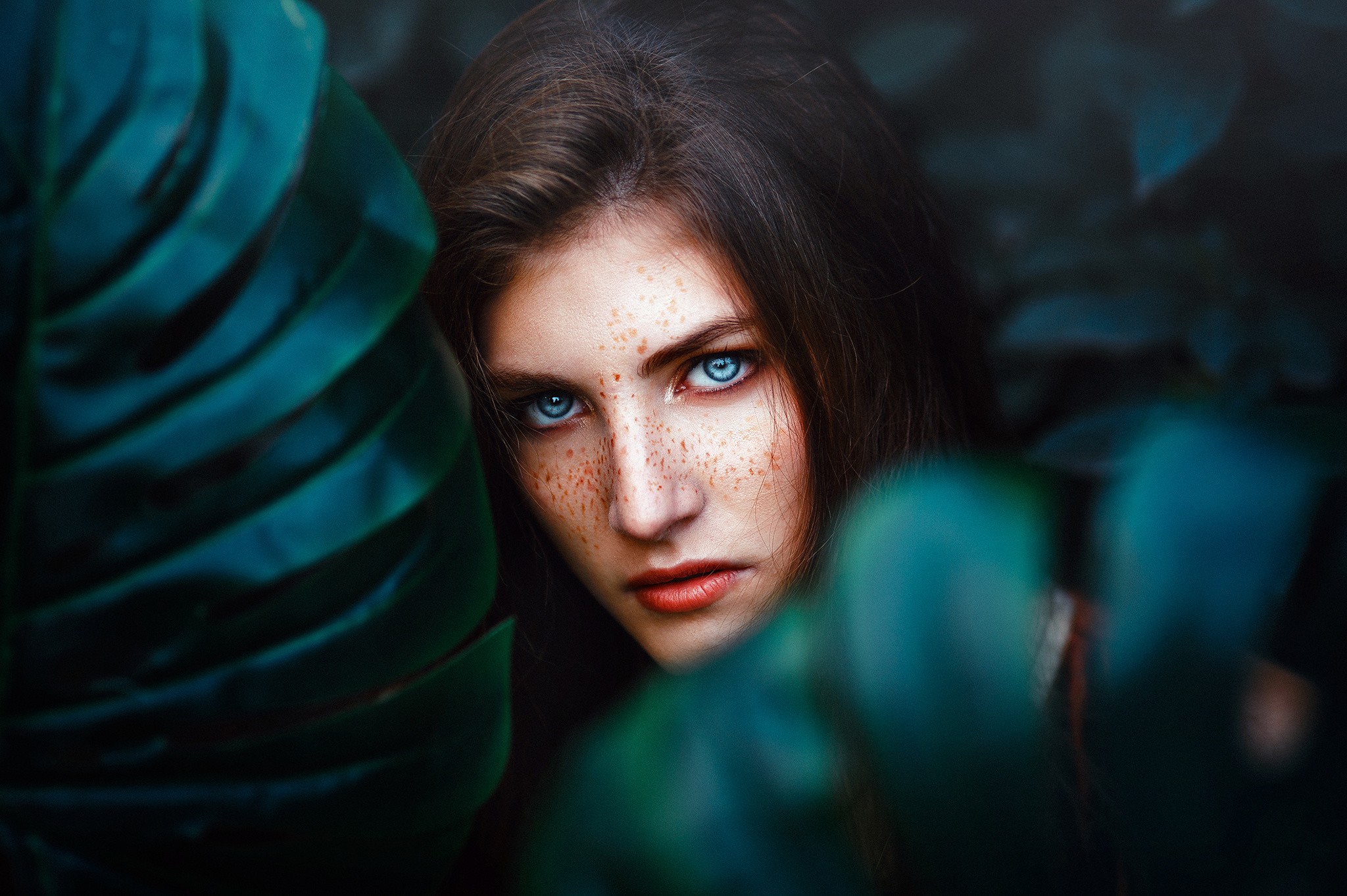 Women Face Portrait Freckles Blue Eyes Leaves Ronny Garcia 2048x1363