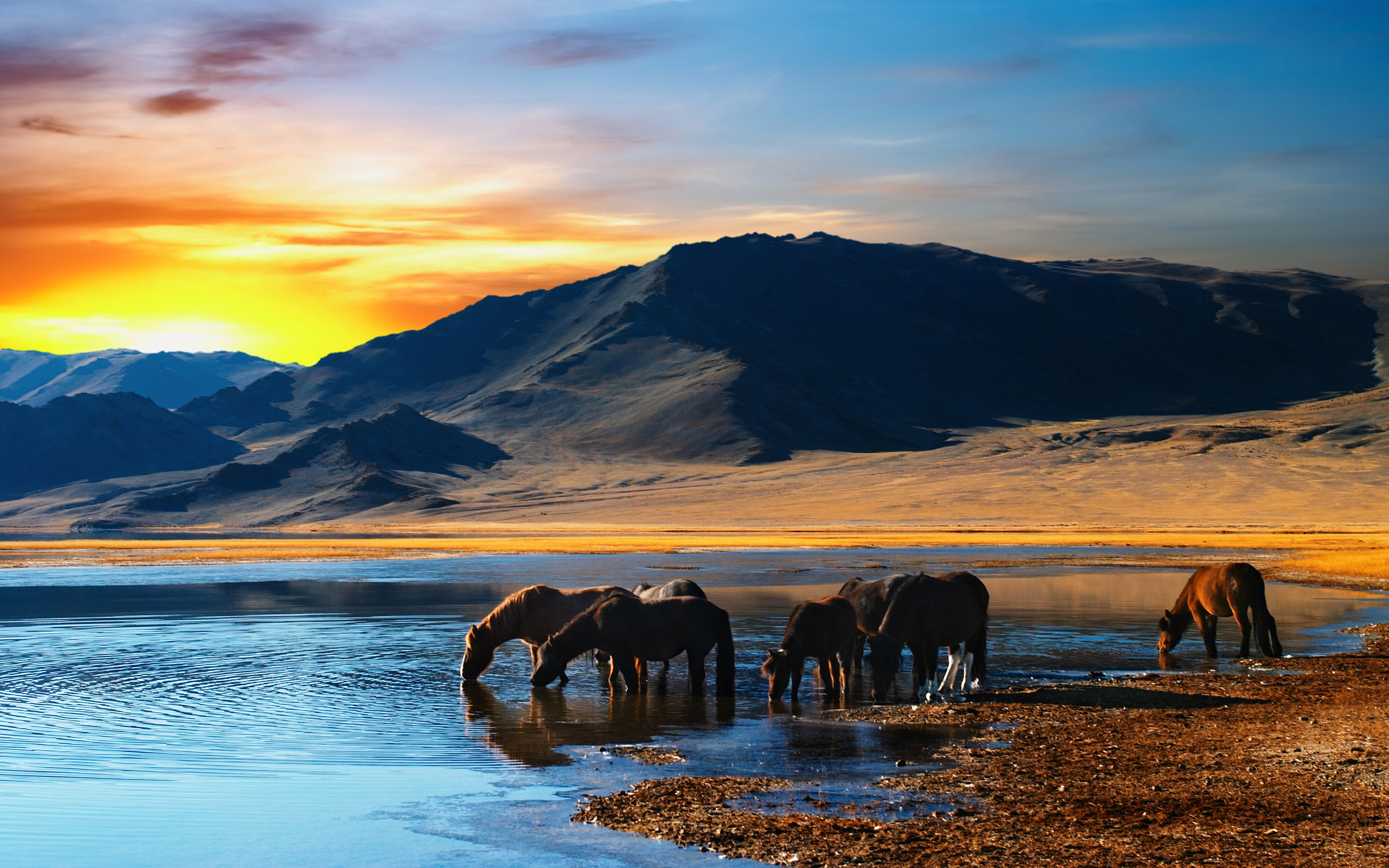 Fantasy Earth Landscape Horse Herd Mongolian Wilderness 2560x1600