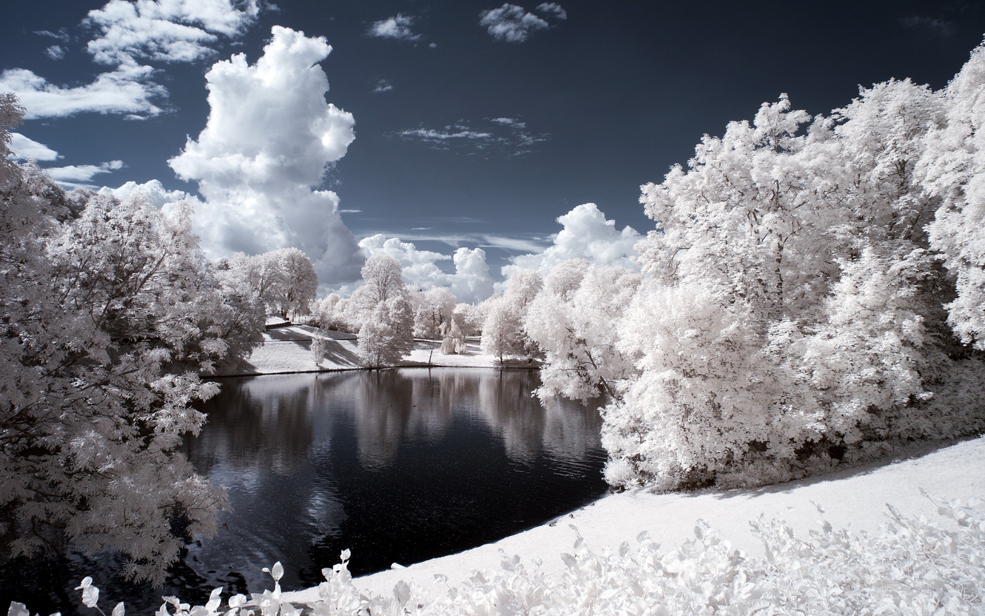 Nature Landscape Lake Trees Infrared 1920x1200