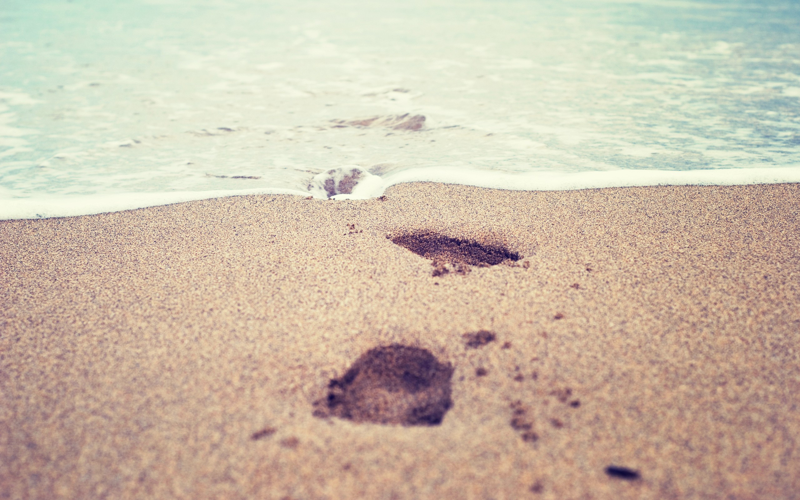 Beach Sand Footprints 2560x1600