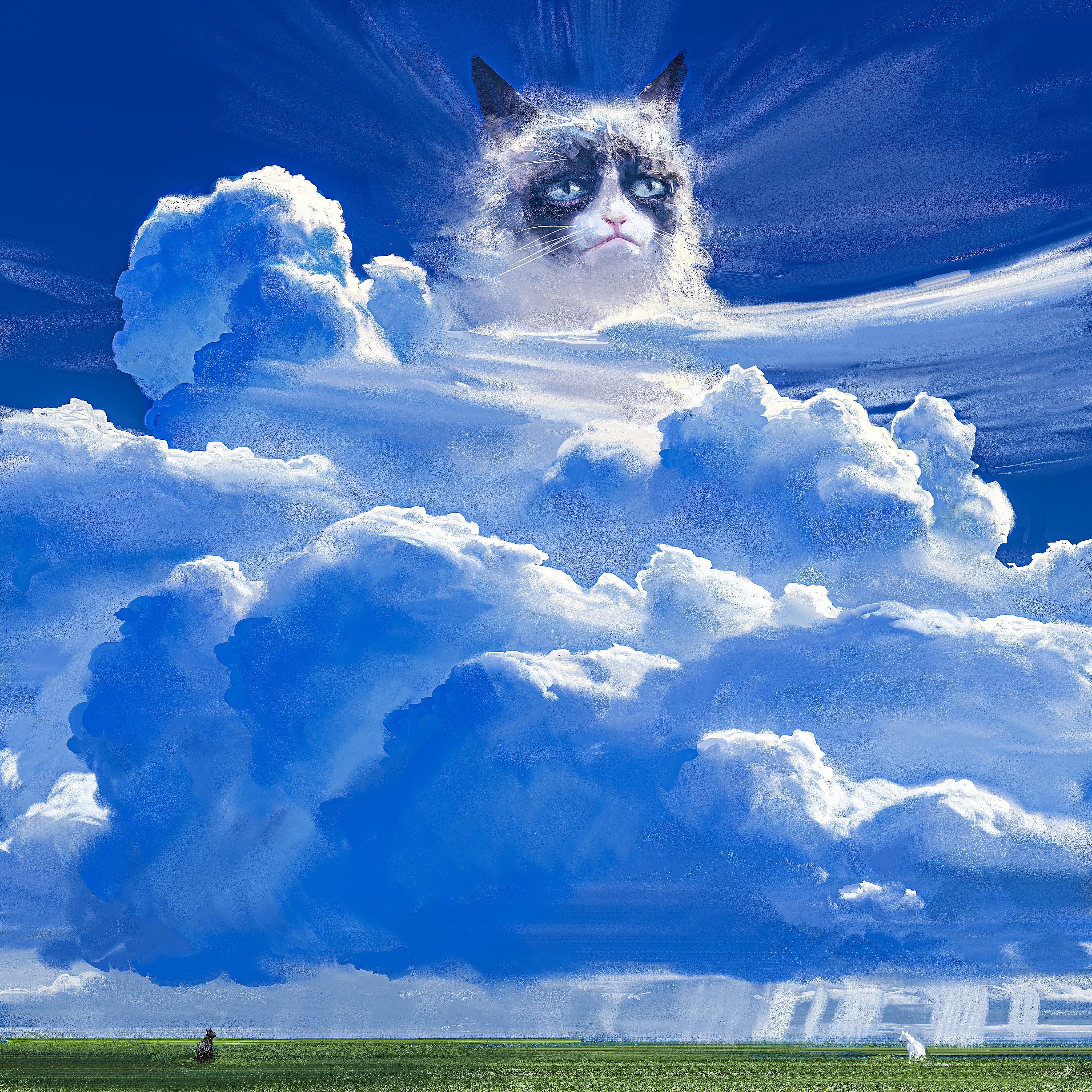 Clouds Sky Grumpy Cat Cats Digital 3276x3276