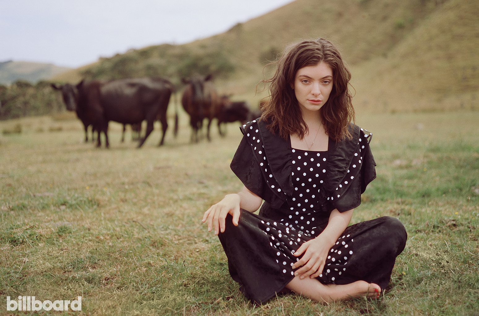 Lorde Music Women Outdoors Dress Cow Sitting 1548x1024