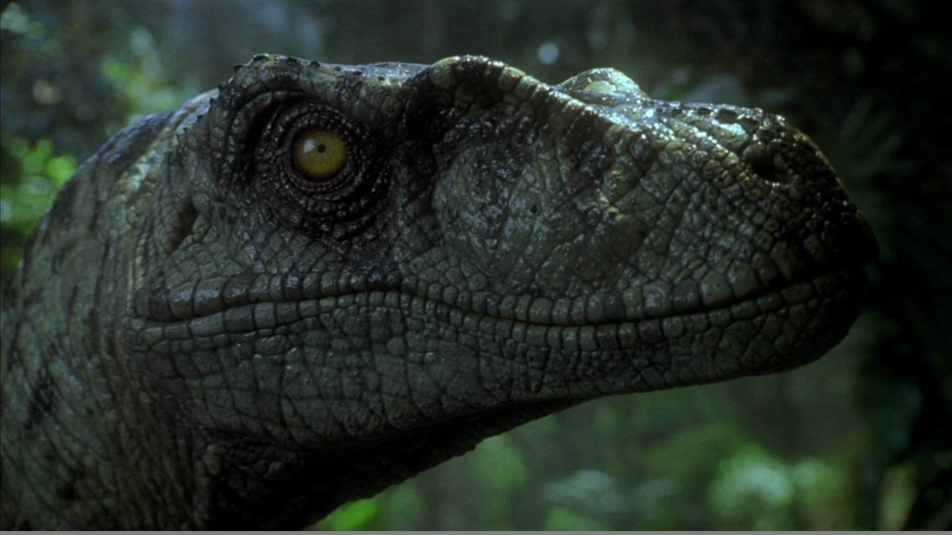 Movie Jurassic Park Iii 1920x1080