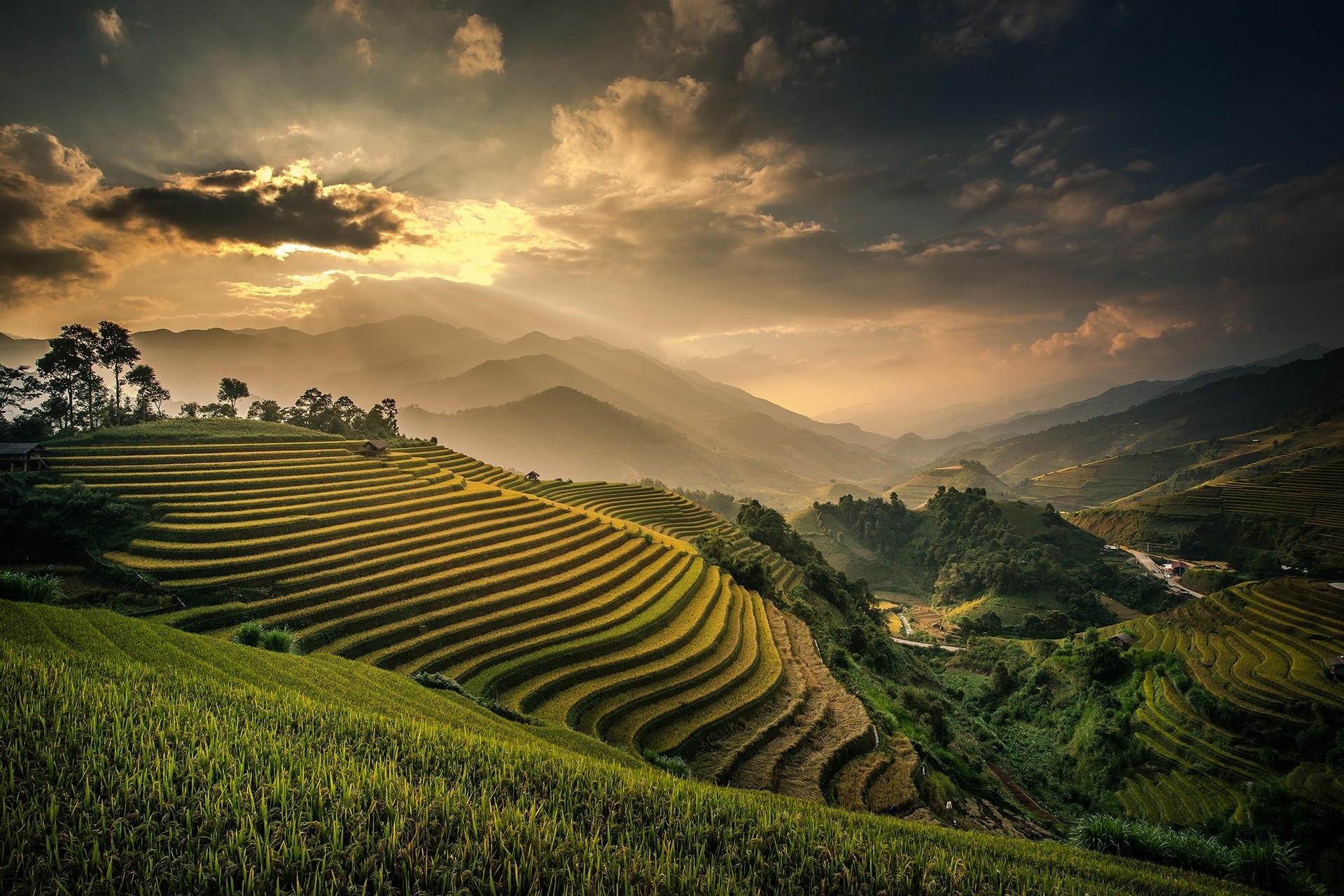 Nature Landscape Field Terraces Mountains Mist Sunset Valley Clouds Sky Bali Indonesia Rice Paddy 1920x1280