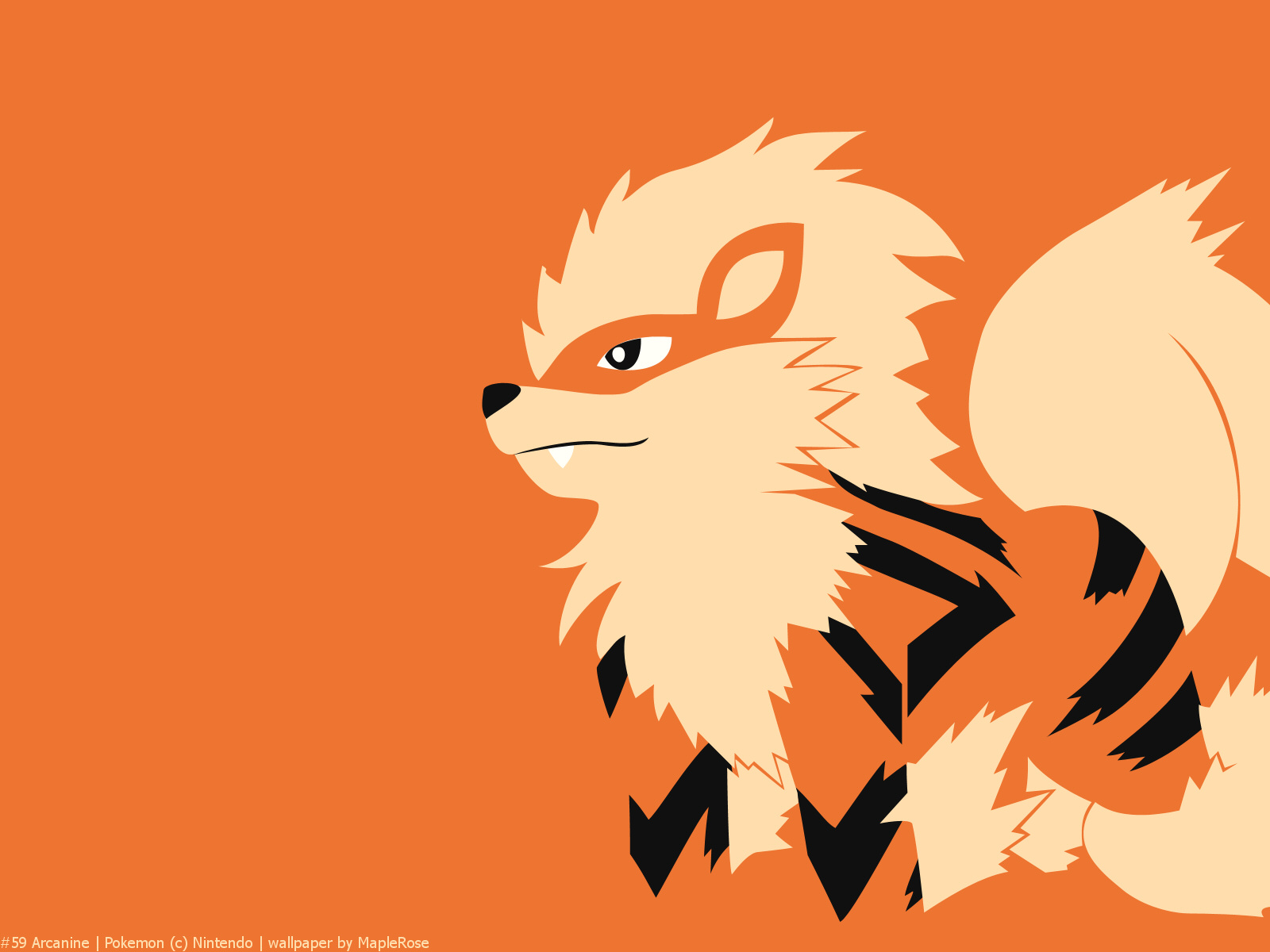 Arcanine Pokemon 1600x1200