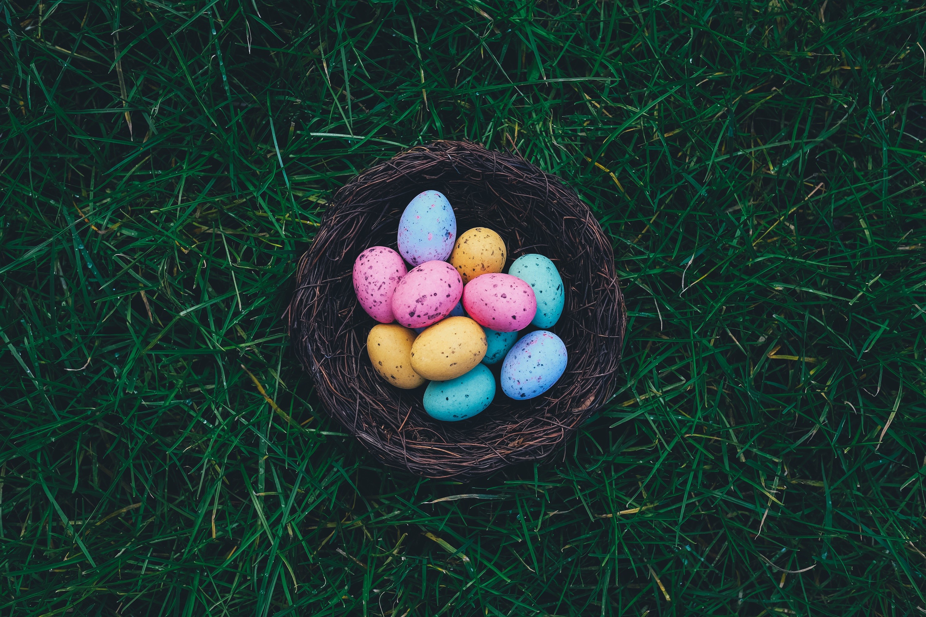 Baskets Eggs Grass Easter Easter Eggs Nests 3000x2000