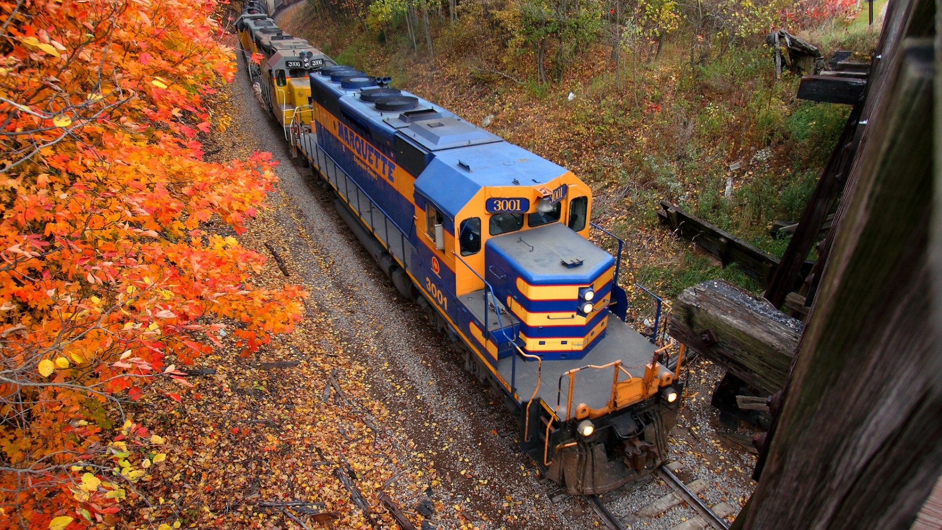 Nature Landscape Railway Train Trees USA Wood Leaves Fall Forest Diesel Locomotive Valley 1920x1080