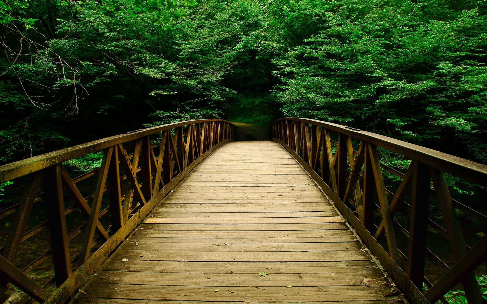 Bridge Wooden Bridge Path Nature Wilderness 1680x1050