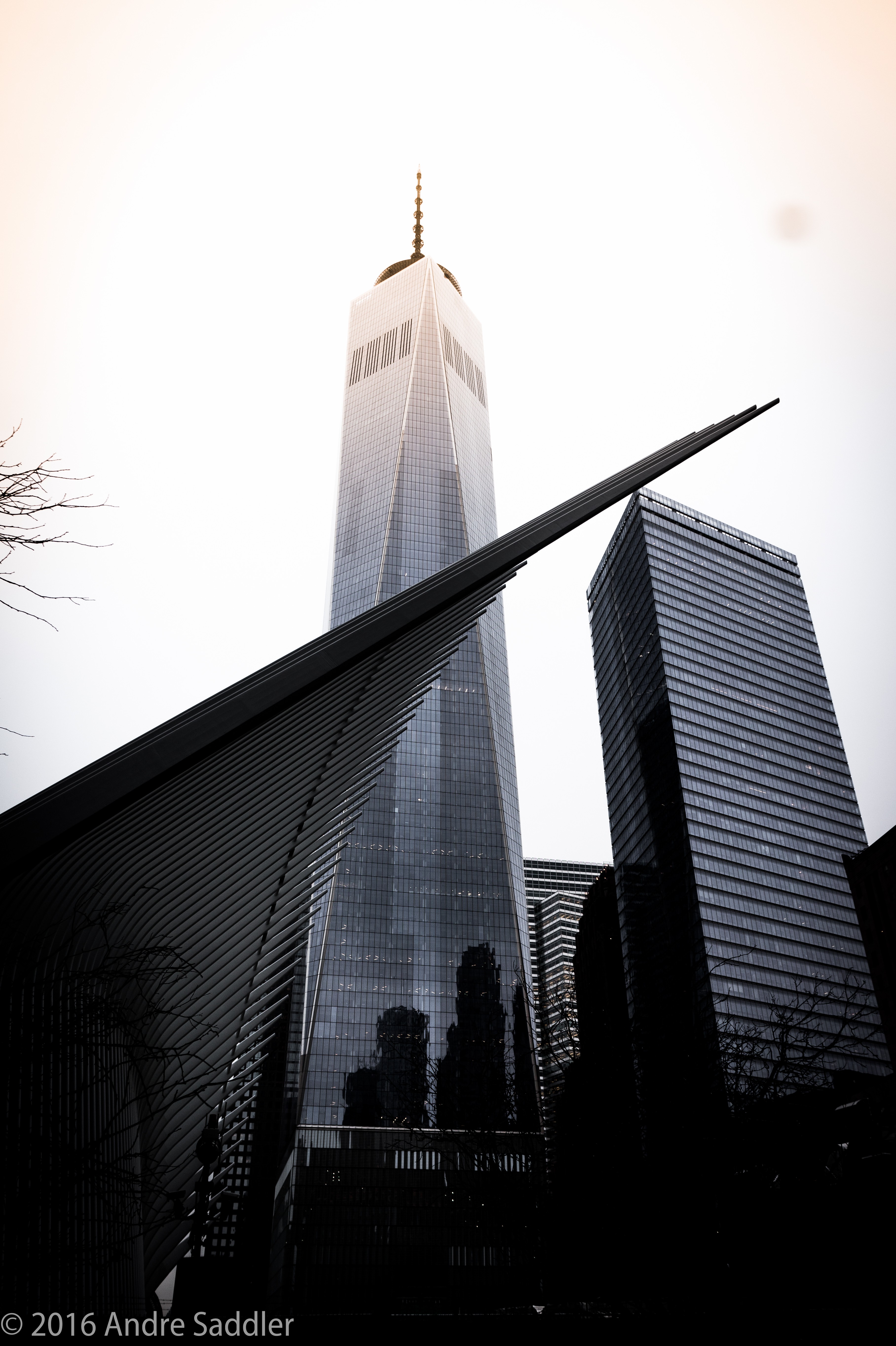 New York City Manhattan USA Skyscraper One World Trade Center Modern 3632x5456