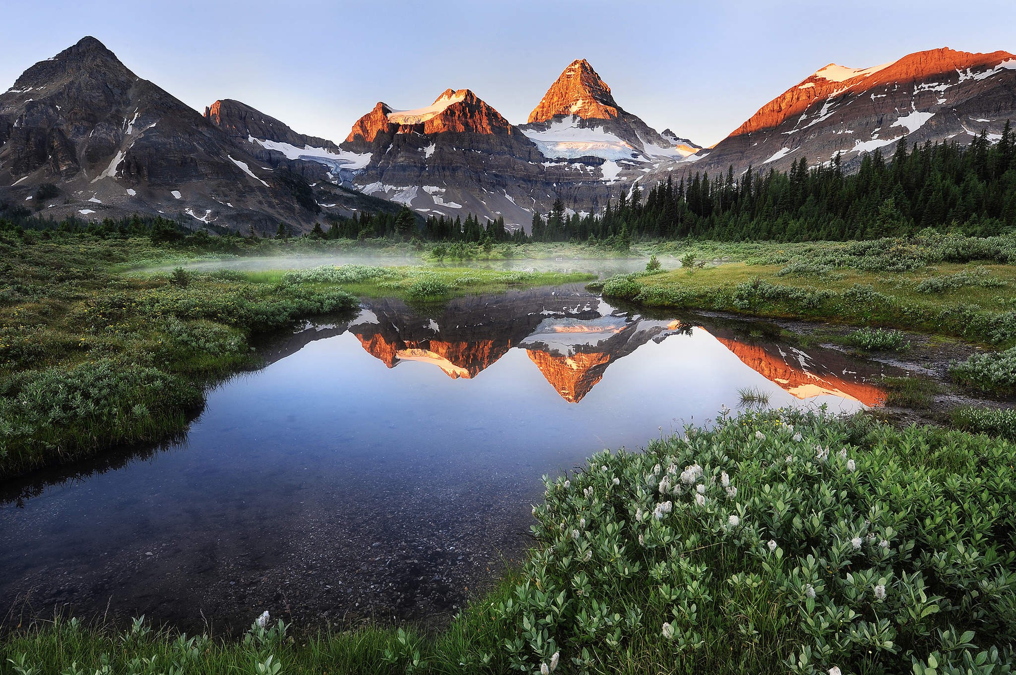 Summer Morning Mist Lake Mountains Nature Forest Snowy Peak Grass Landscape Water Green Wildflowers  2048x1362