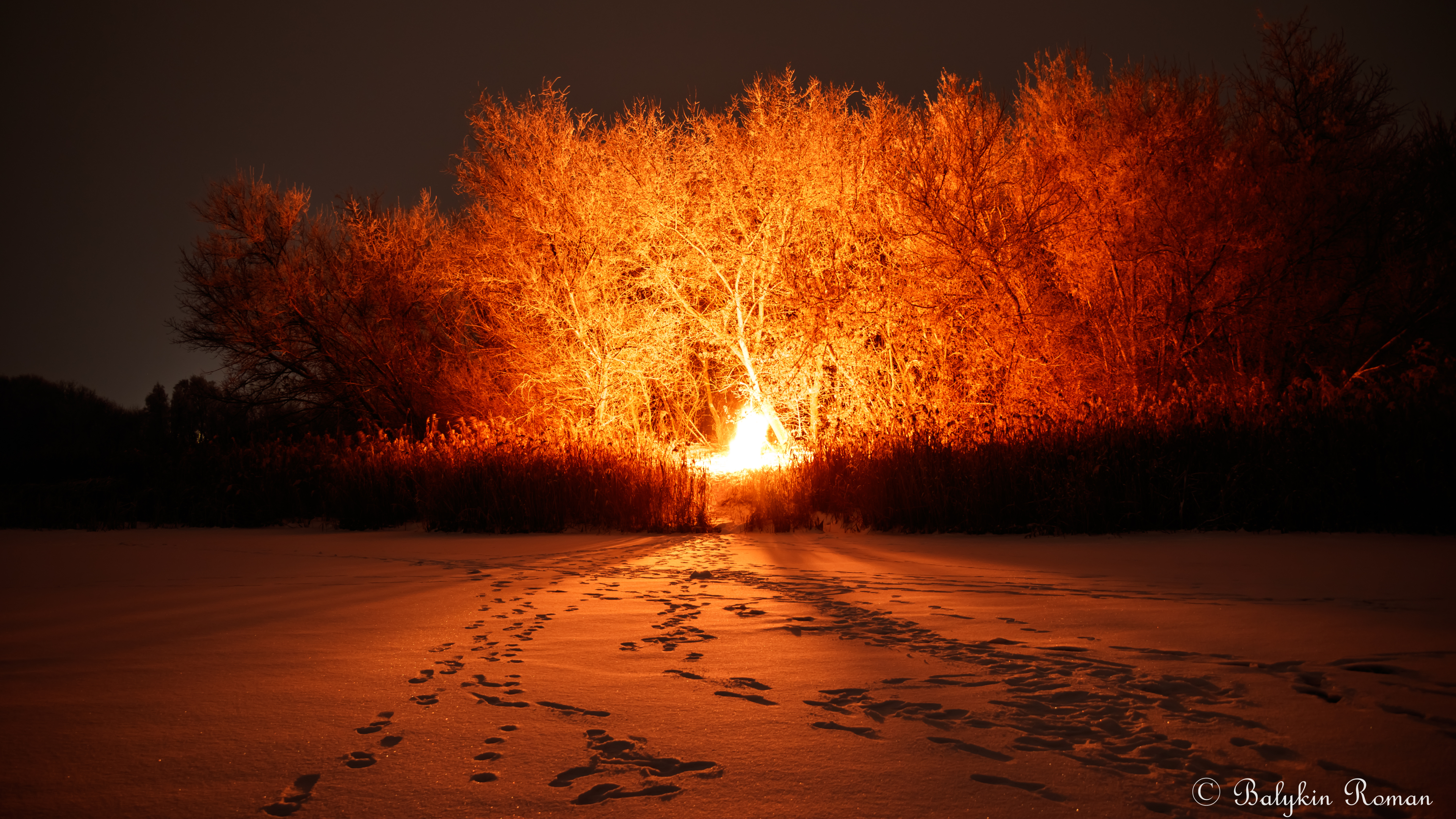 Nature Landscape Night Footprints Winter Snow Trees Lights Clear Sky Plants 3840x2160