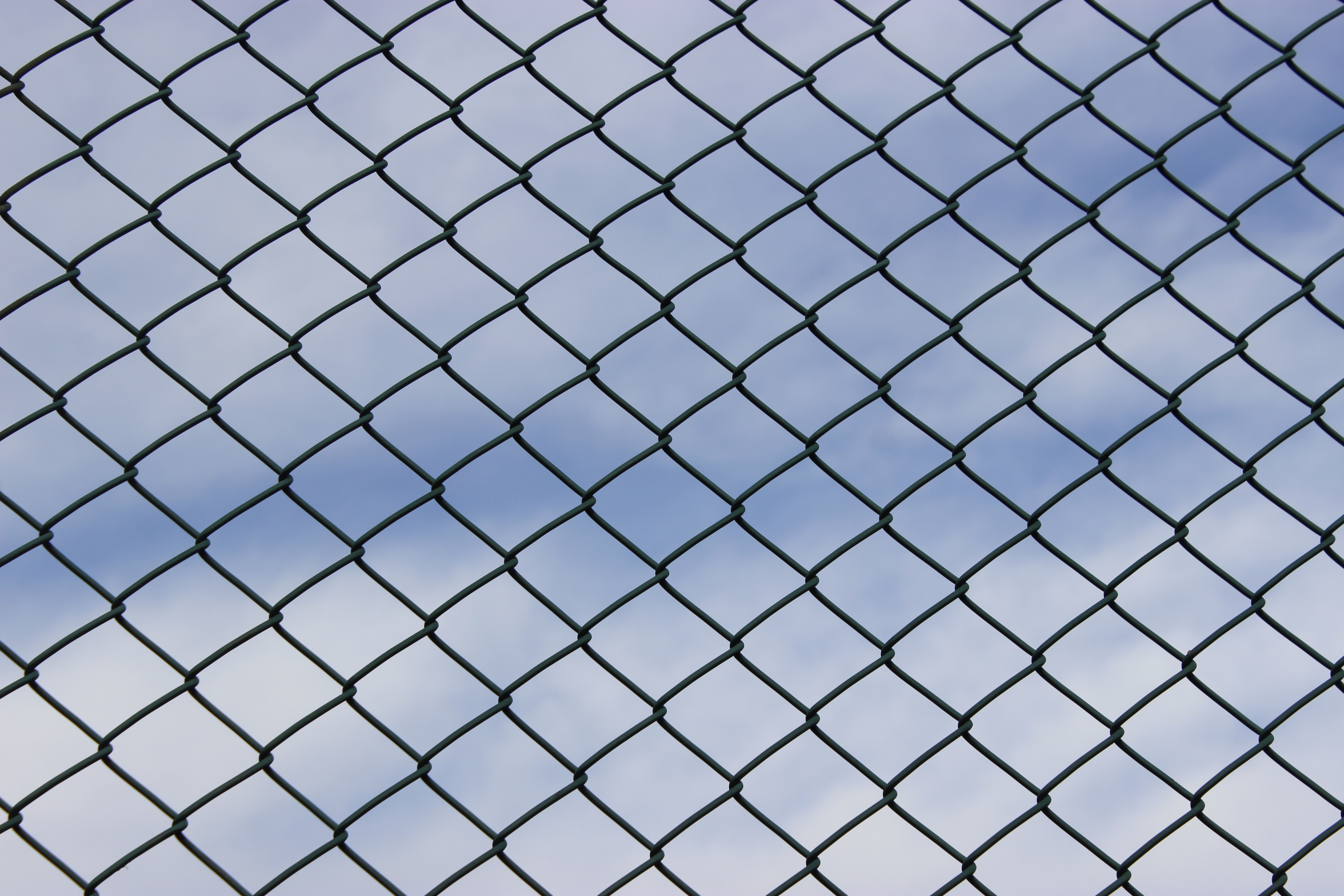 Wire Nature Sky Fence 5184x3456