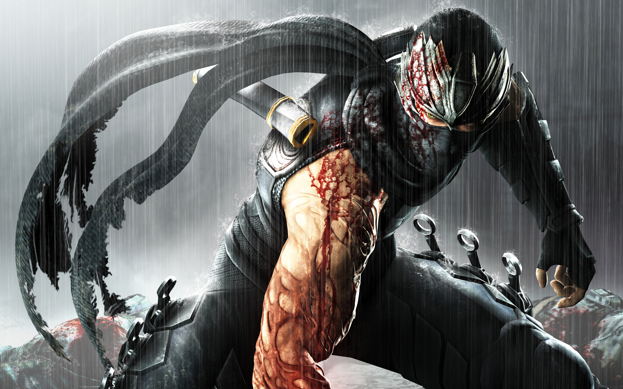 Video Game Ninja Gaiden 2560x1600