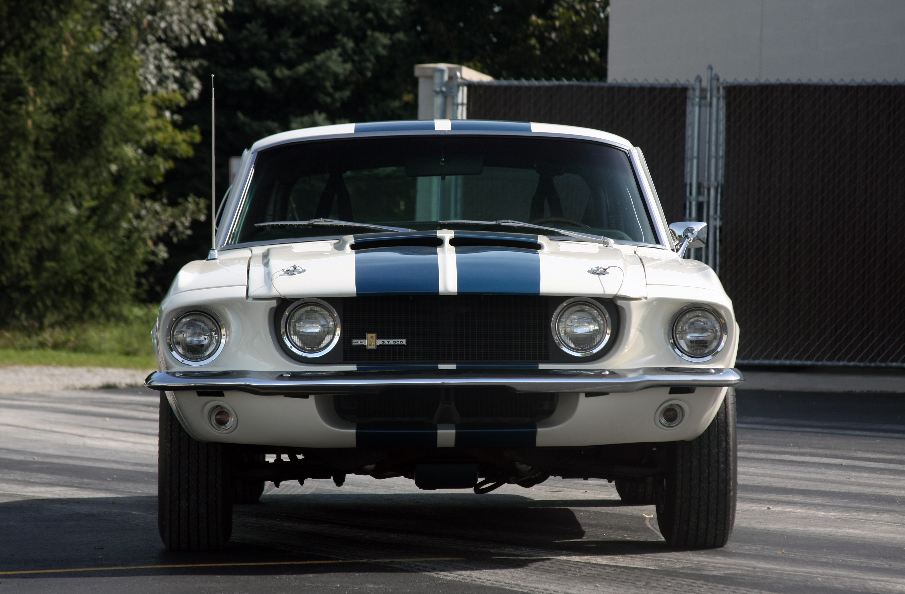 Shelby GT500 Muscle Car White Car 3845x2524
